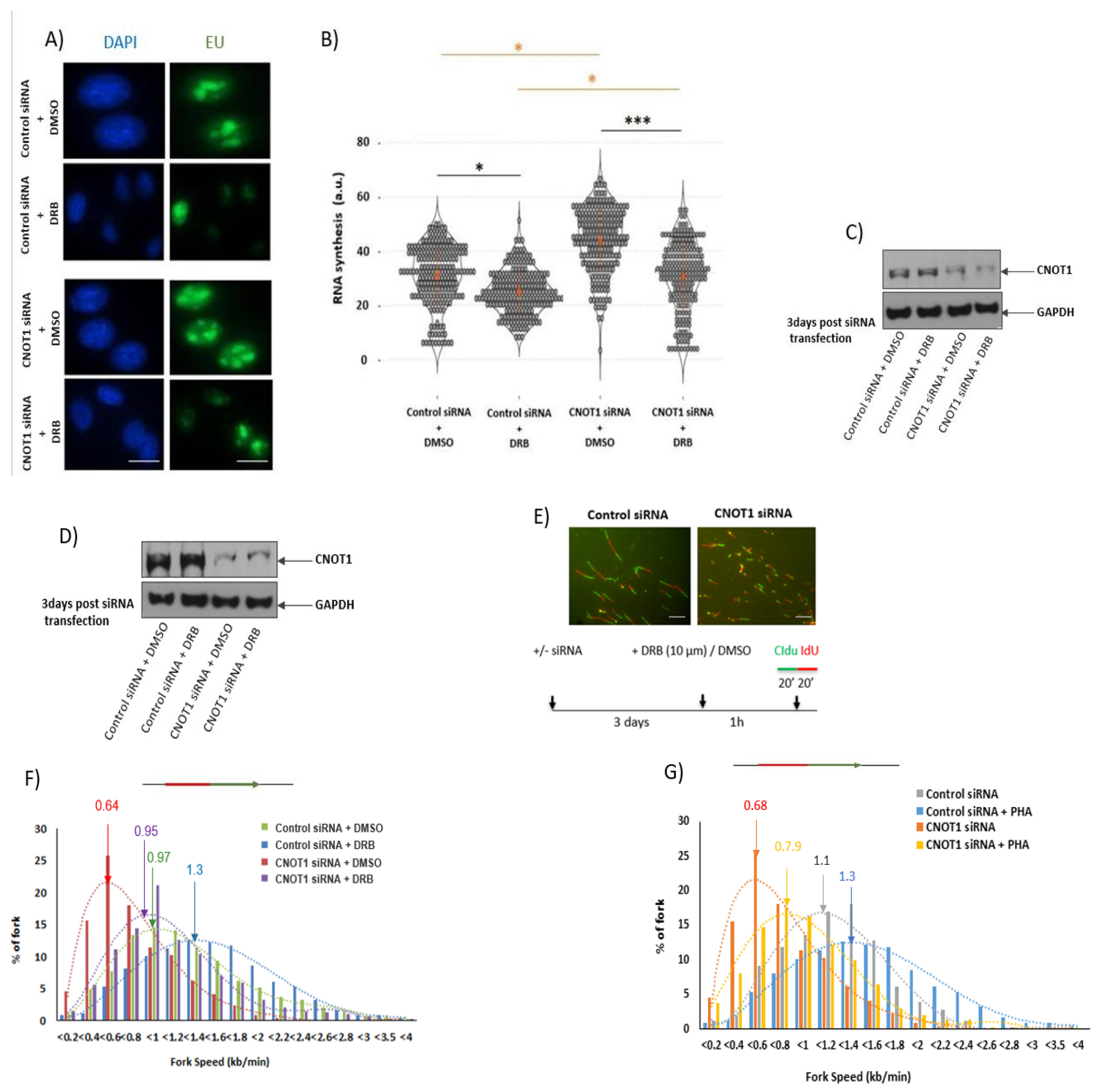 Cells 12 01868 g003a Cells 12 01868 g003a