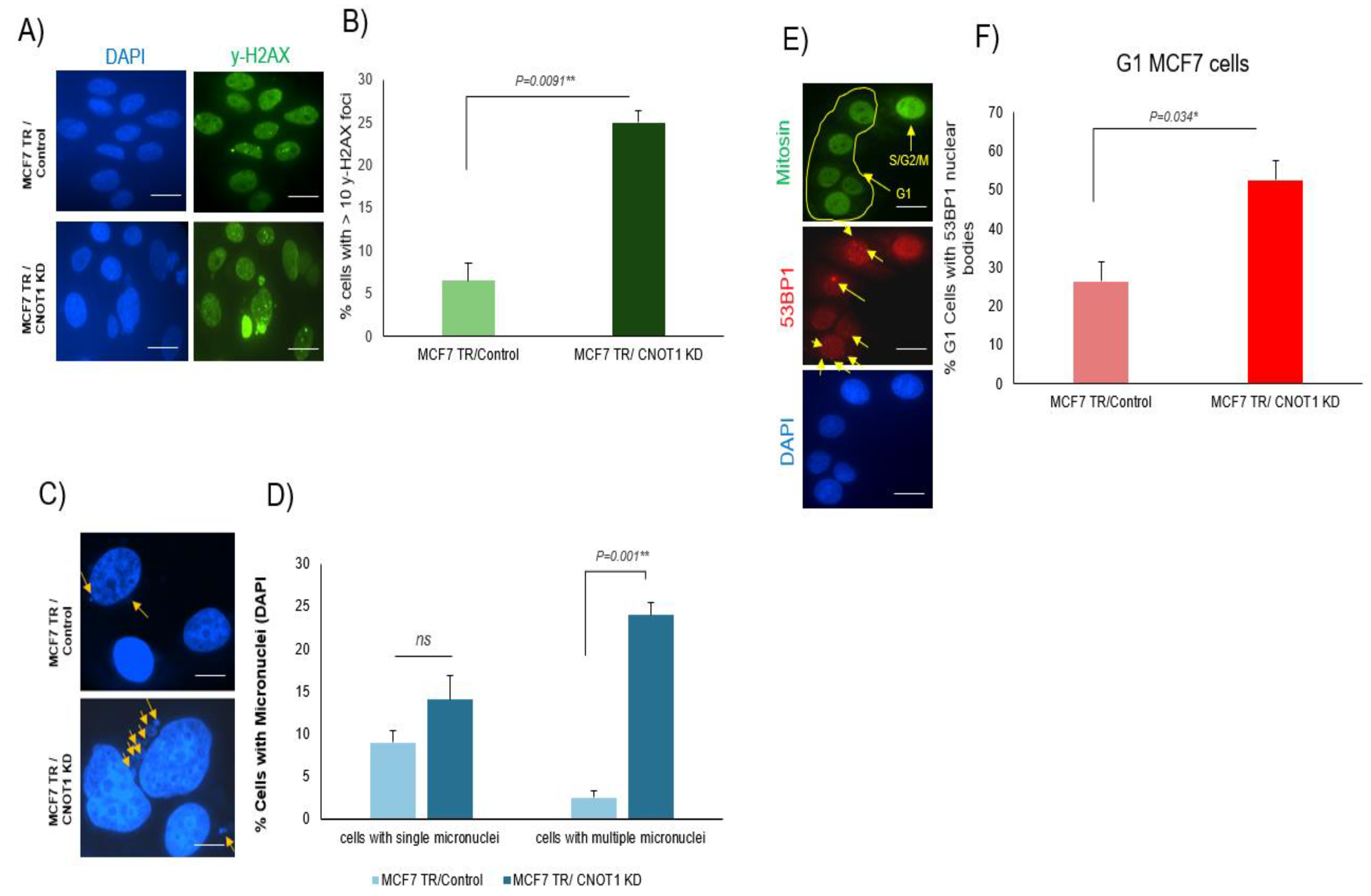 Cells 12 01868 g005a Cells 12 01868 g005a