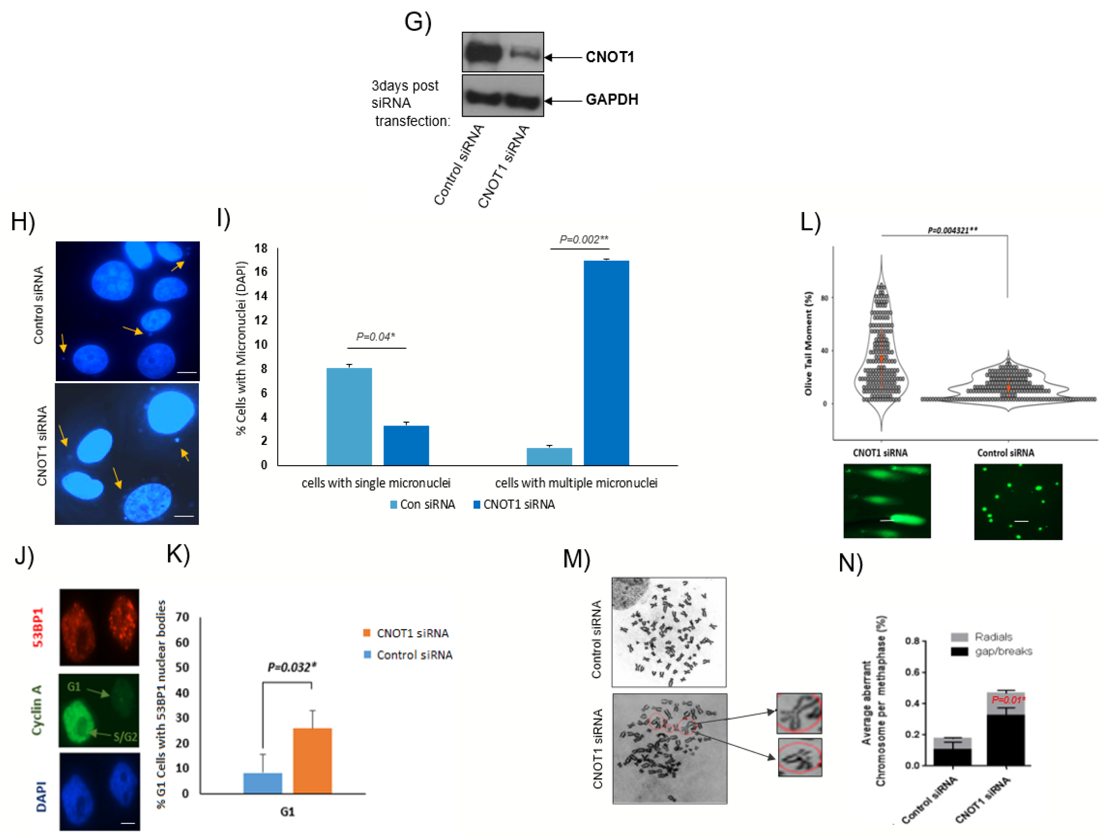 Cells 12 01868 g005b Cells 12 01868 g005b
