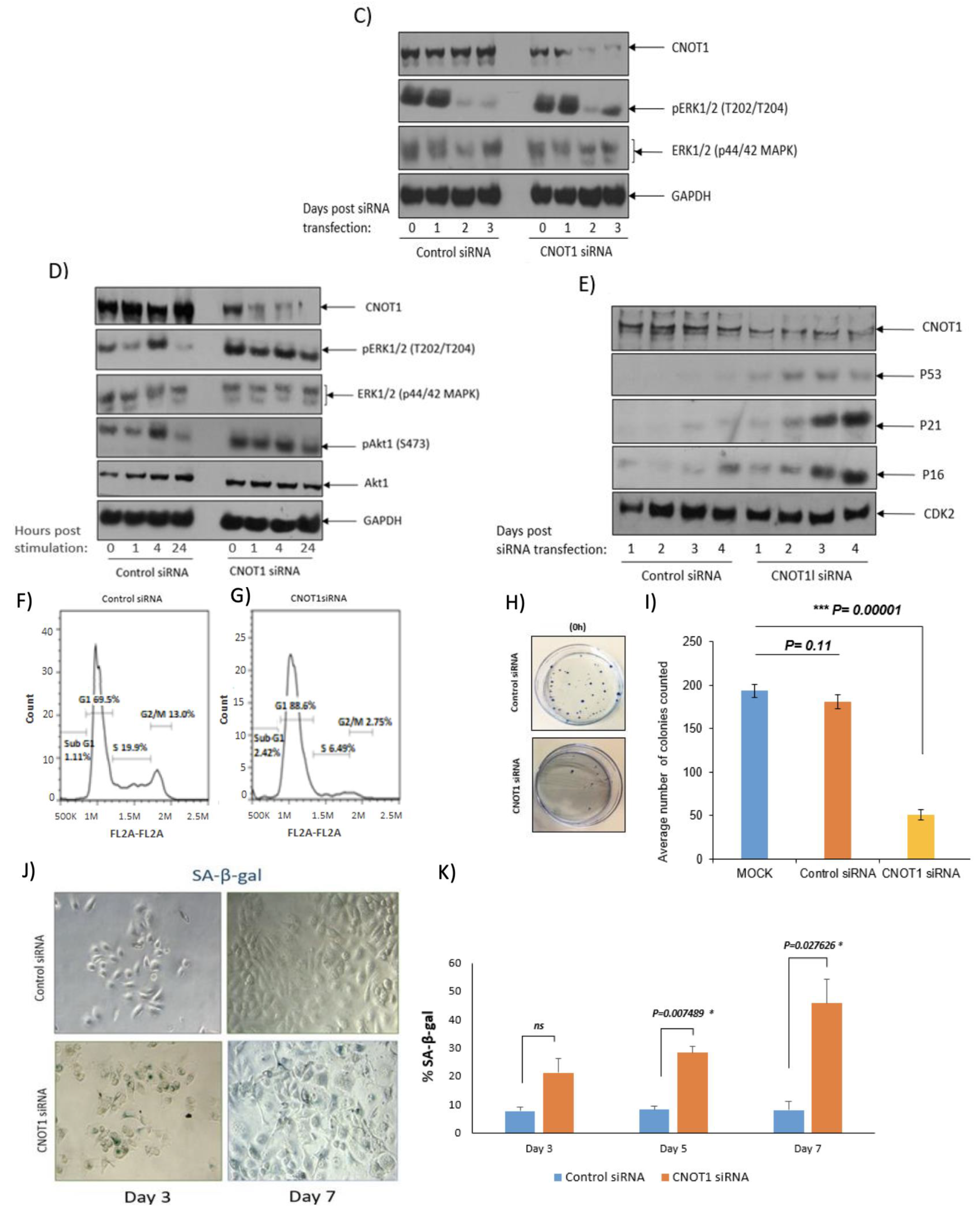 Cells 12 01868 g007b Cells 12 01868 g007b