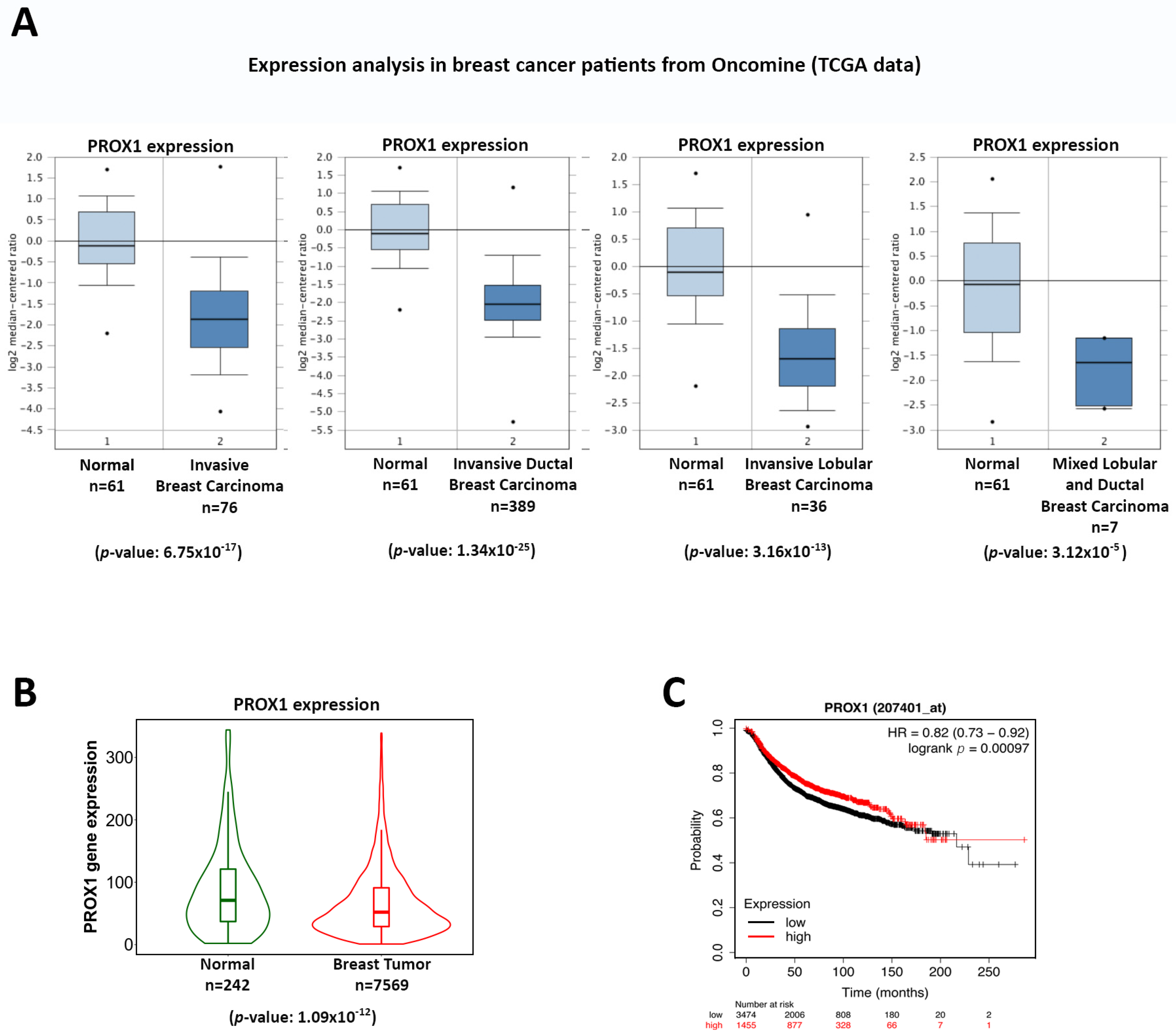 Cells 12 01869 g001 Cells 12 01869 g001