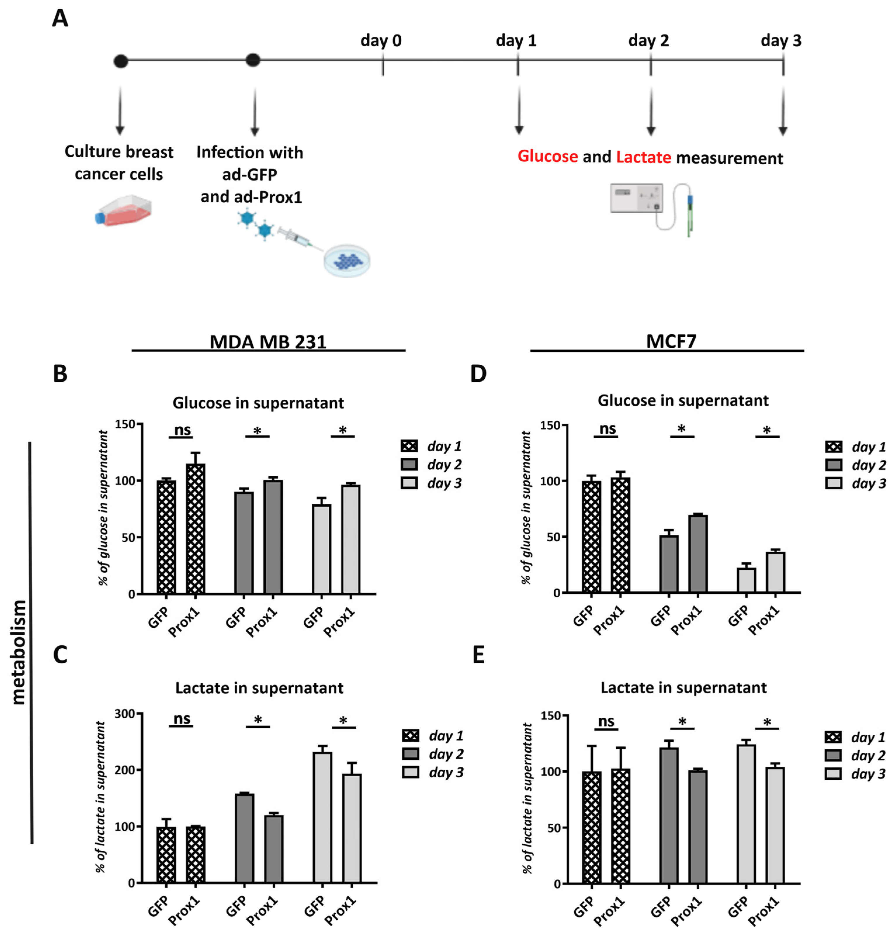 Cells 12 01869 g004 Cells 12 01869 g004