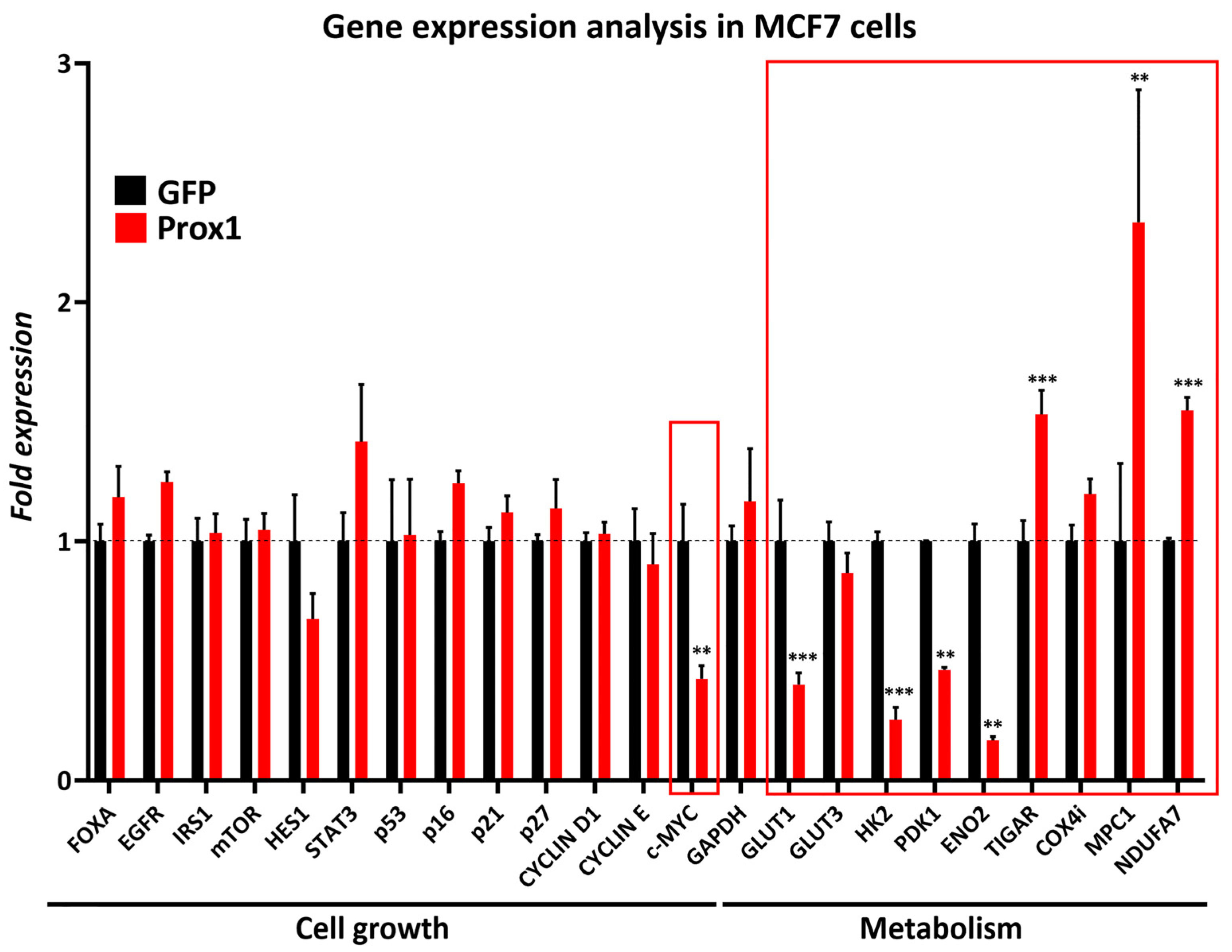 Cells 12 01869 g005 Cells 12 01869 g005