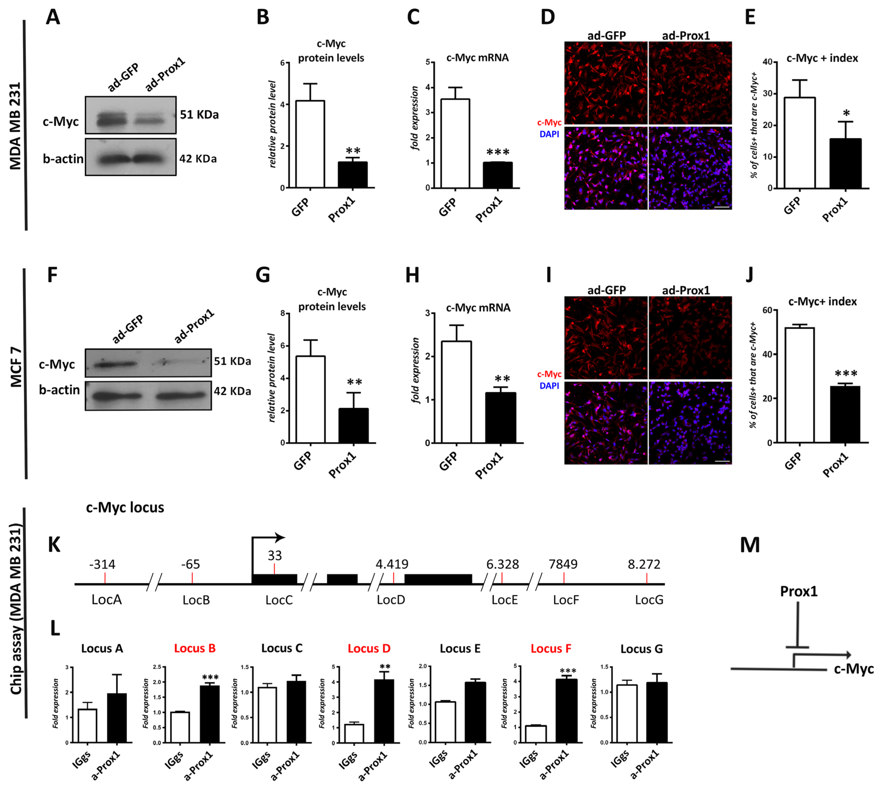 Cells 12 01869 g006 Cells 12 01869 g006