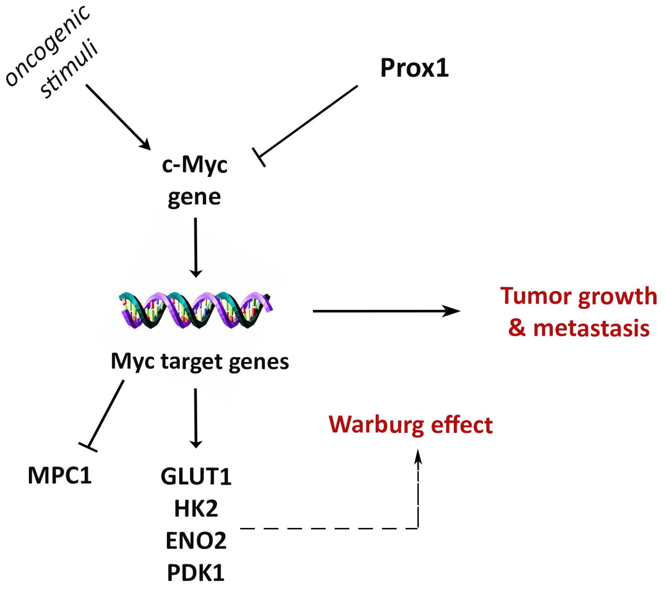 Cells 12 01869 g009 Cells 12 01869 g009
