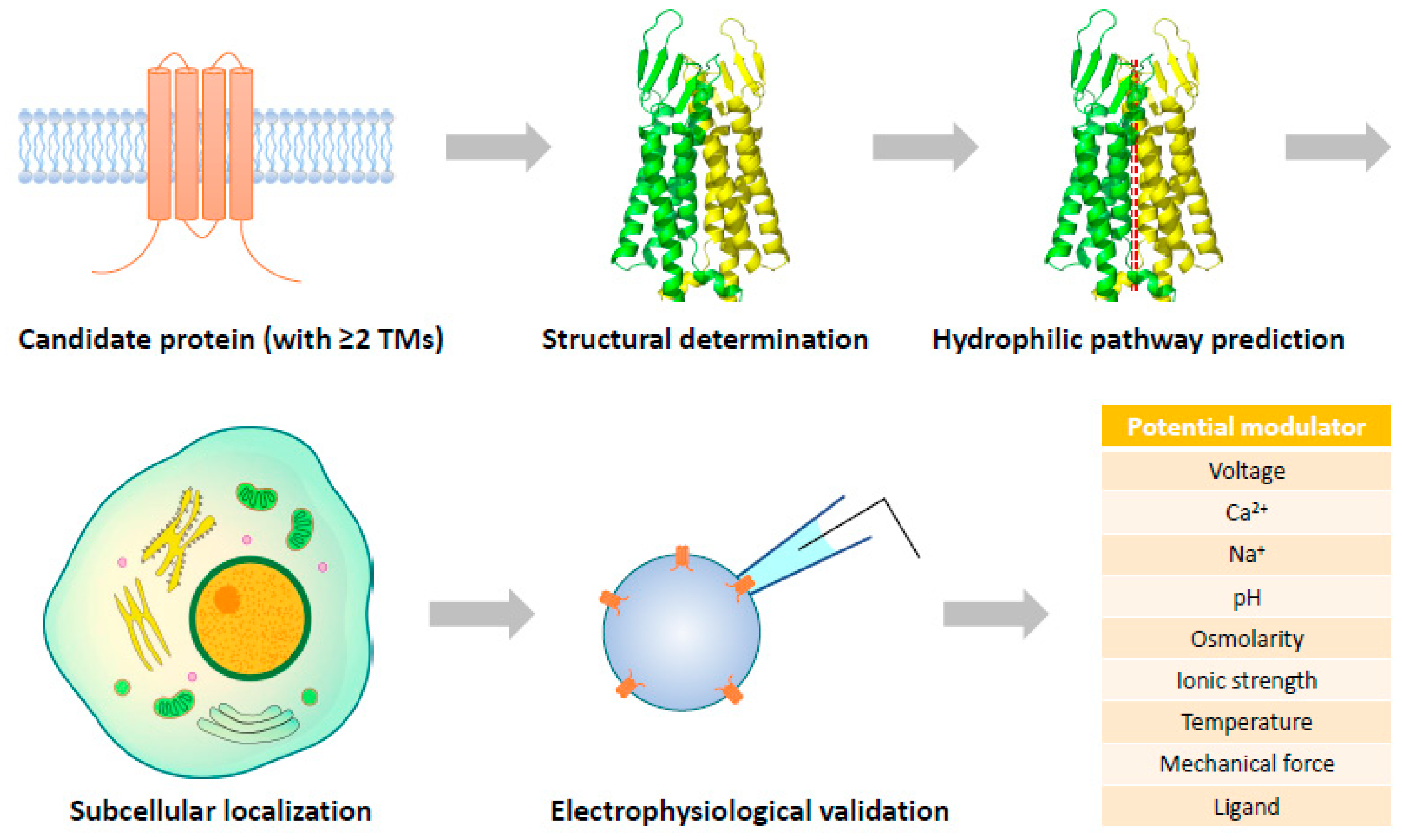 Cells 12 01870 g002 Cells 12 01870 g002
