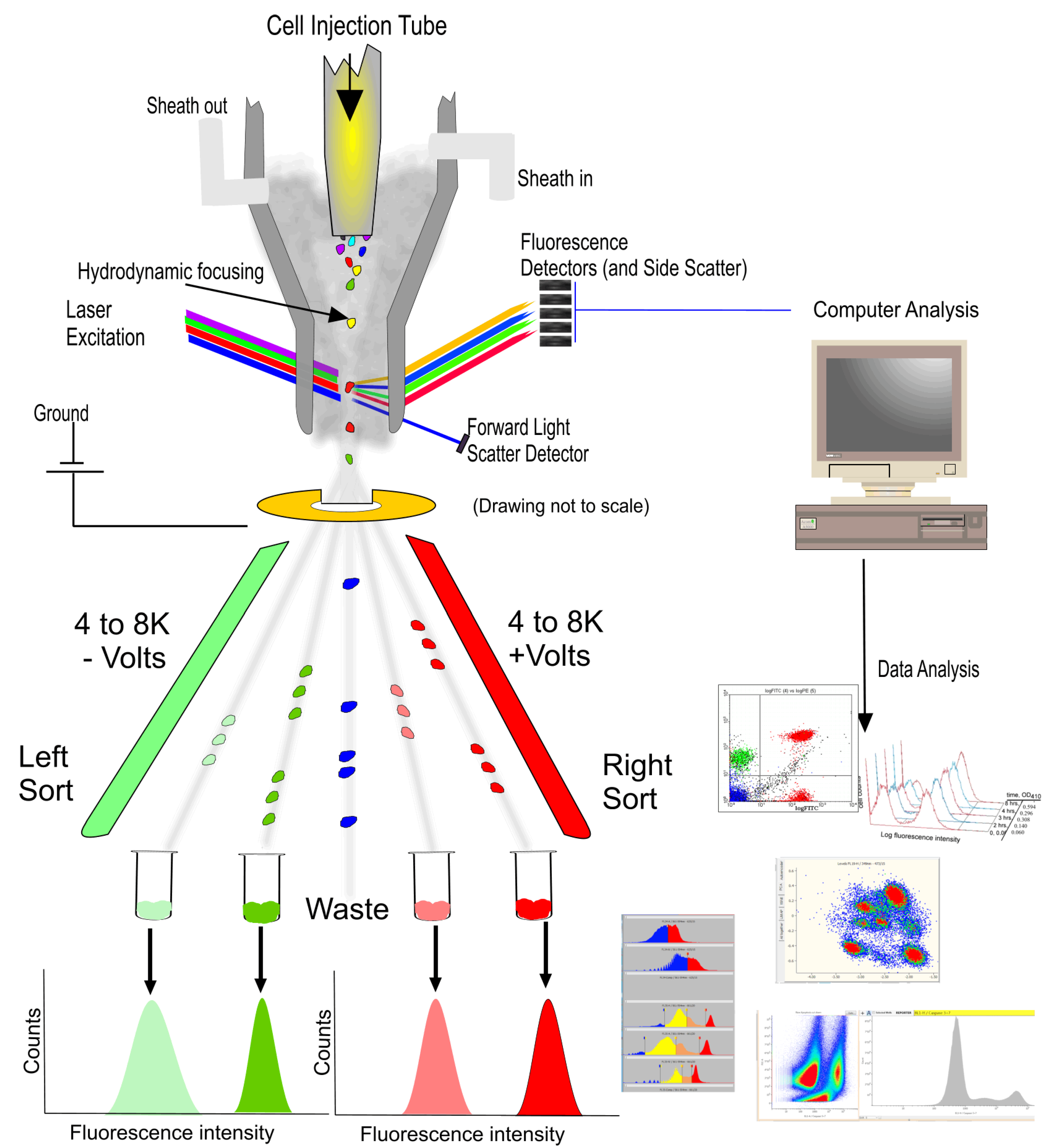 Pushing the limits by 'equal opportunity' design - CytoBuoy flow cytometry  solutions