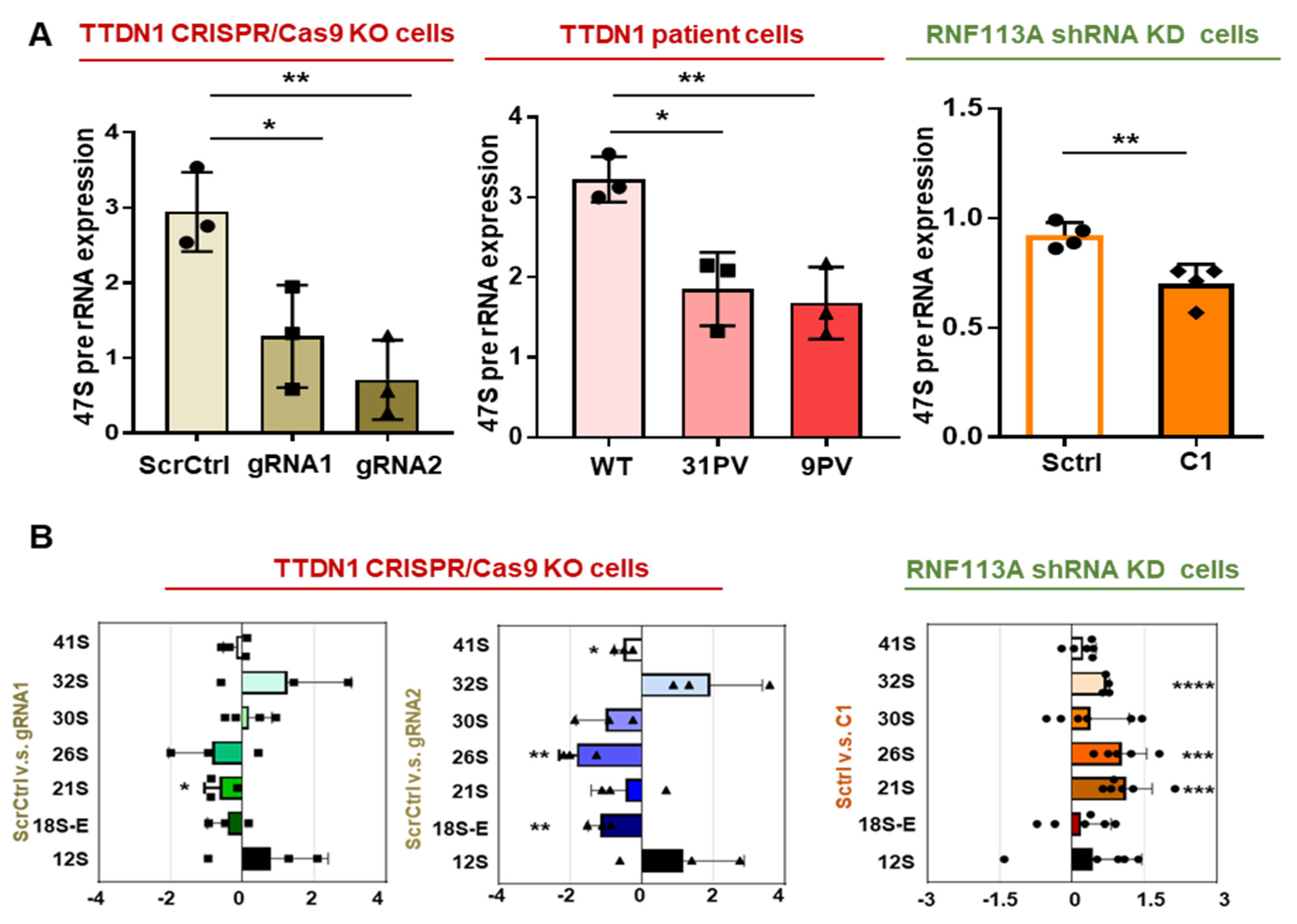 Cells 12 01877 g003a