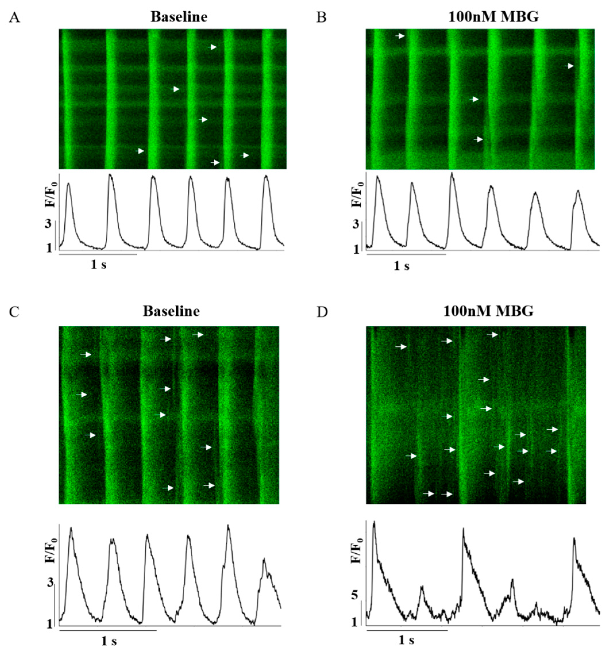 Cells 12 01881 g002 Cells 12 01881 g002