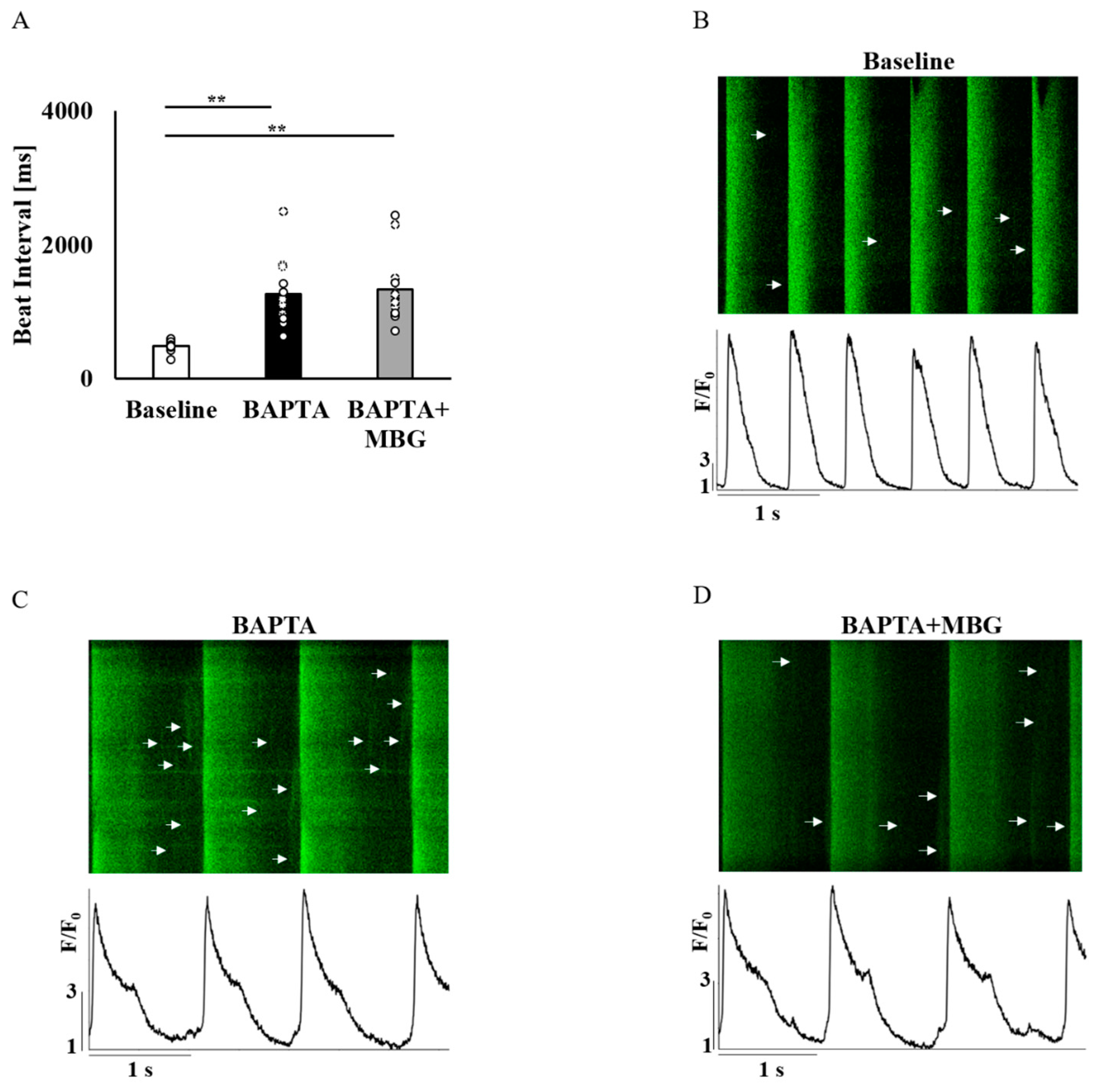 Cells 12 01881 g005 Cells 12 01881 g005