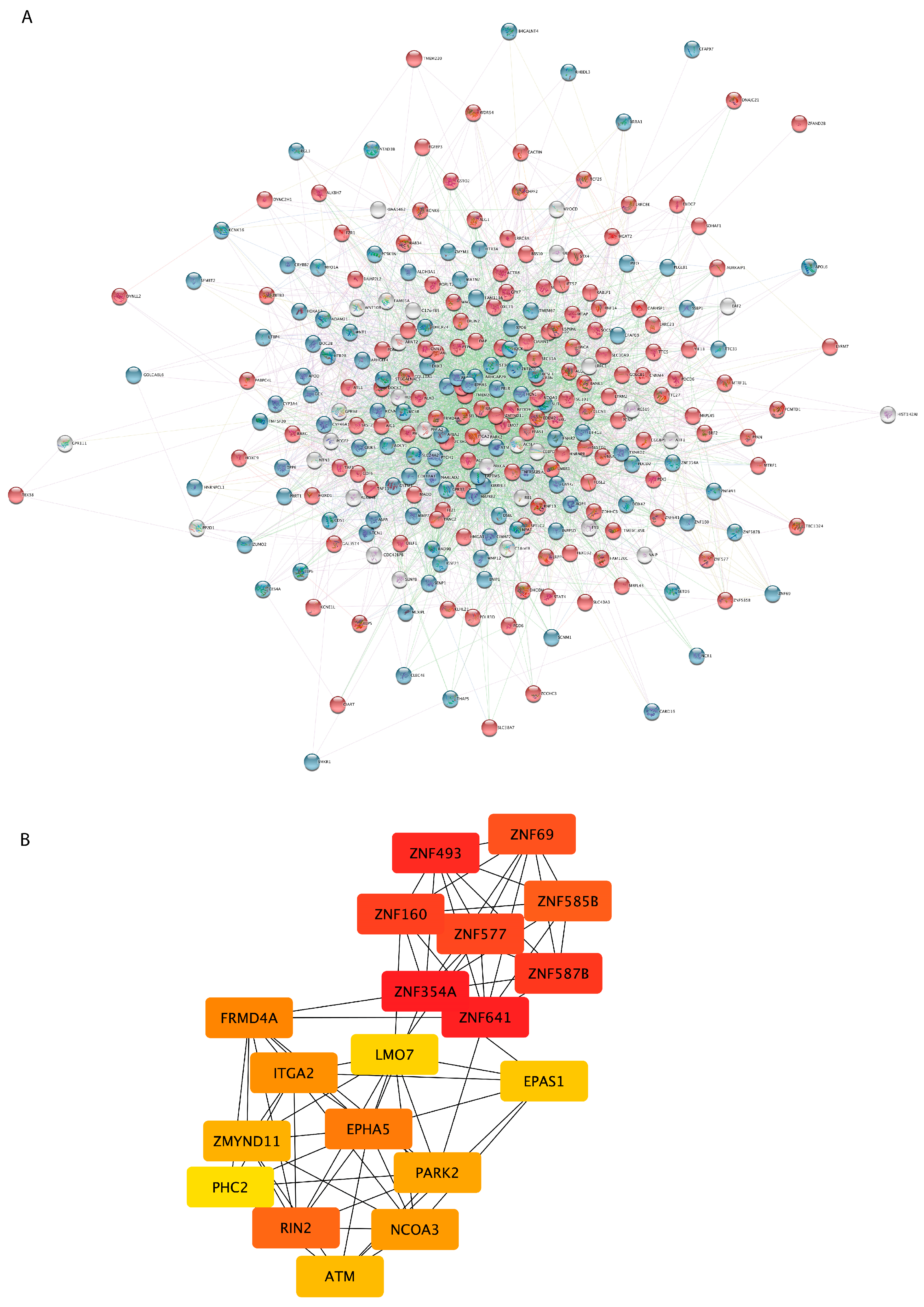 Cells 12 01884 g003 Cells 12 01884 g003