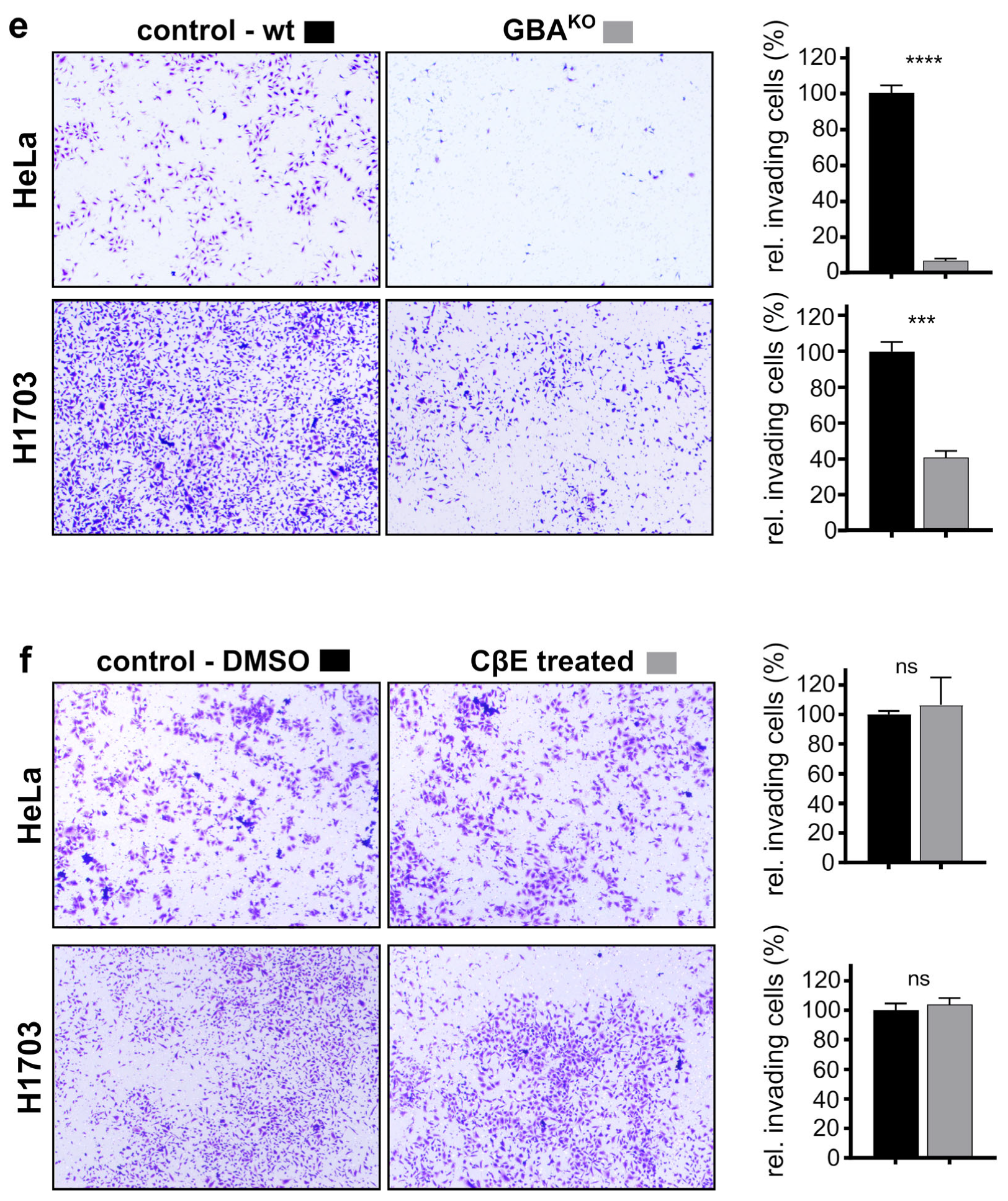 Cells 12 01886 g005b Cells 12 01886 g005b