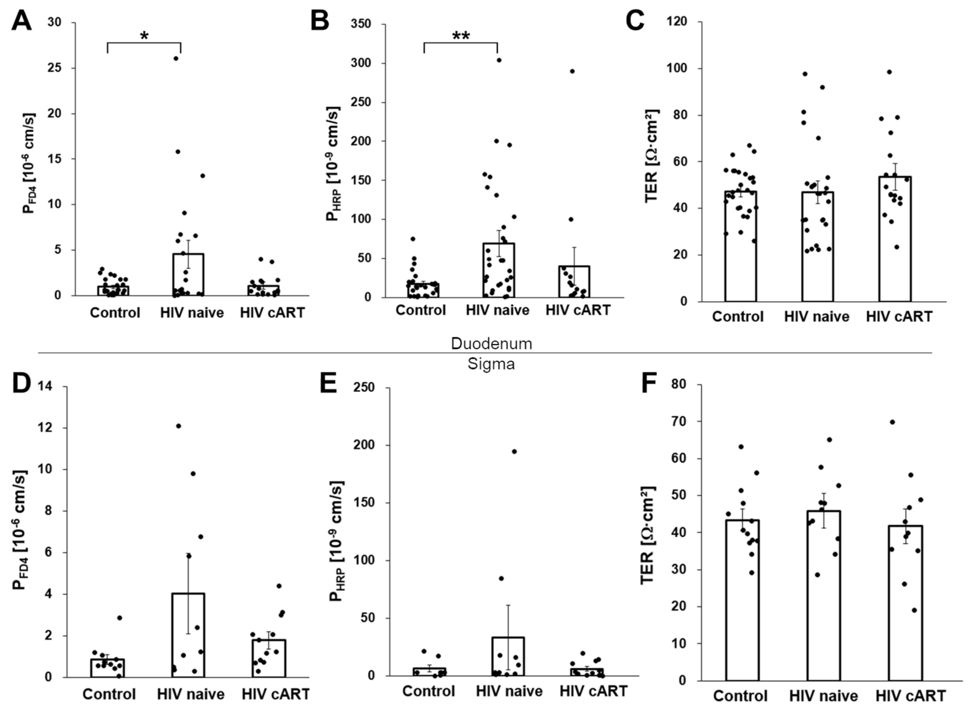 Cells 12 01887 g001 Cells 12 01887 g001