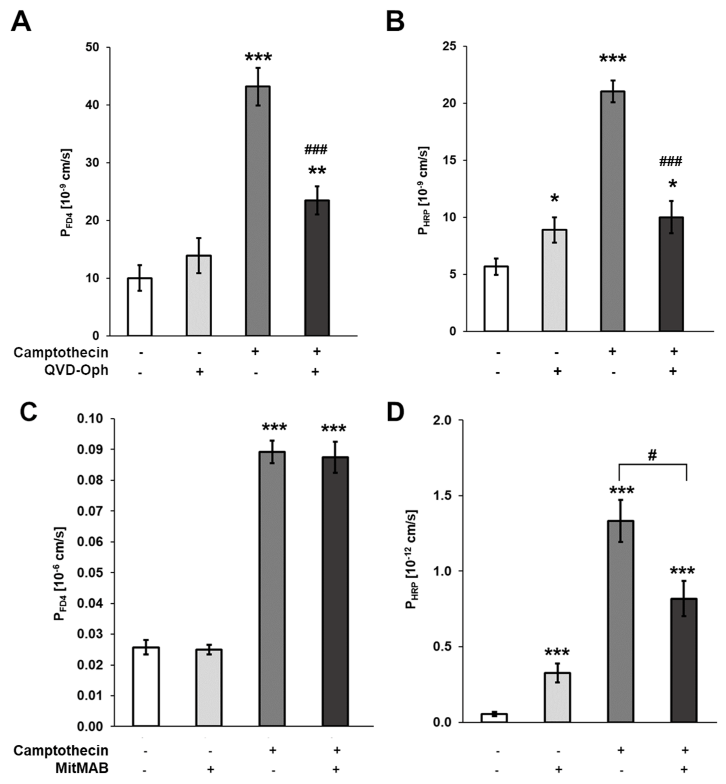 Cells 12 01887 g004 Cells 12 01887 g004