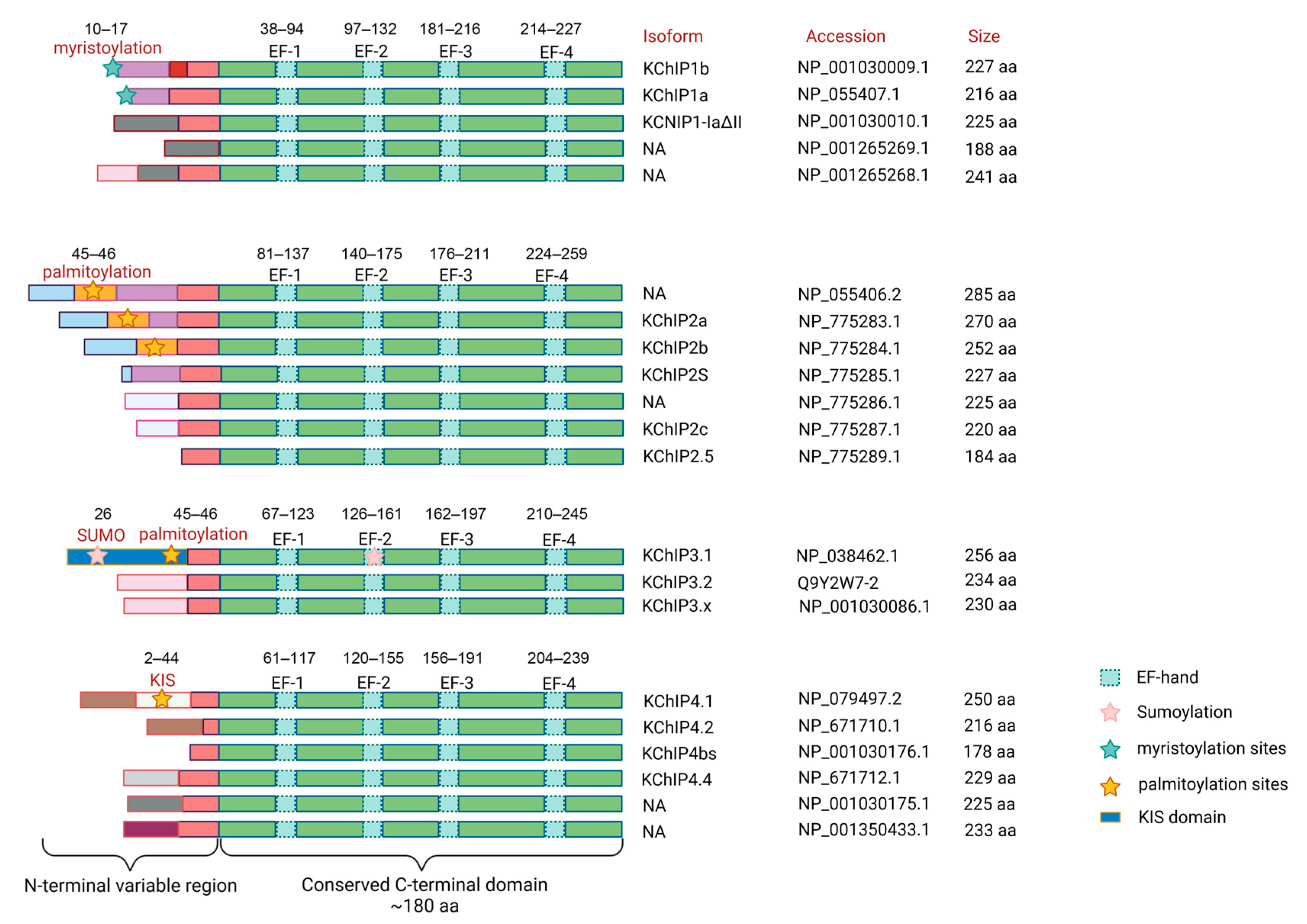 Cells 12 01894 g002 Cells 12 01894 g002