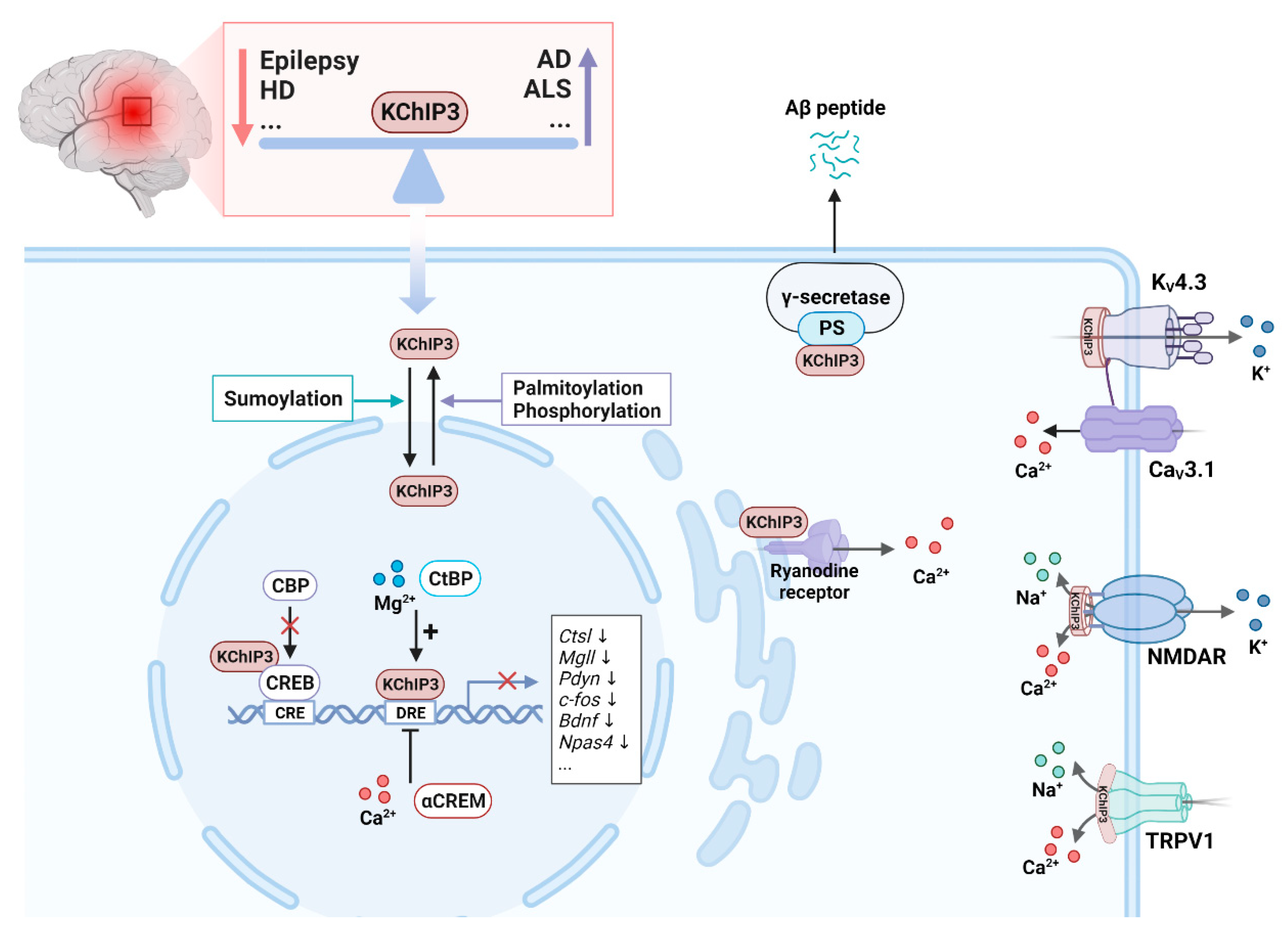 Cells 12 01894 g005 Cells 12 01894 g005