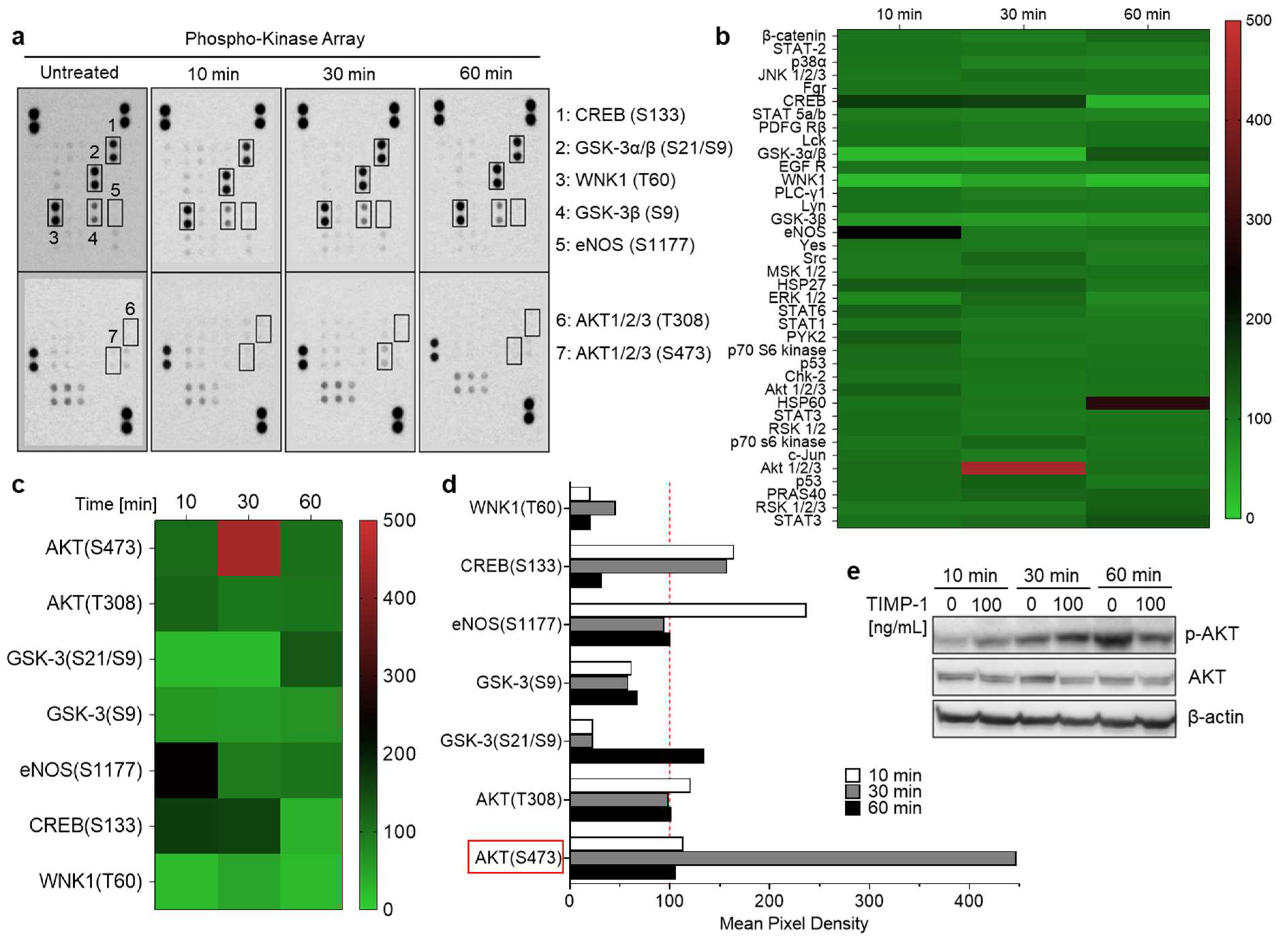Cells 12 01899 g004 Cells 12 01899 g004