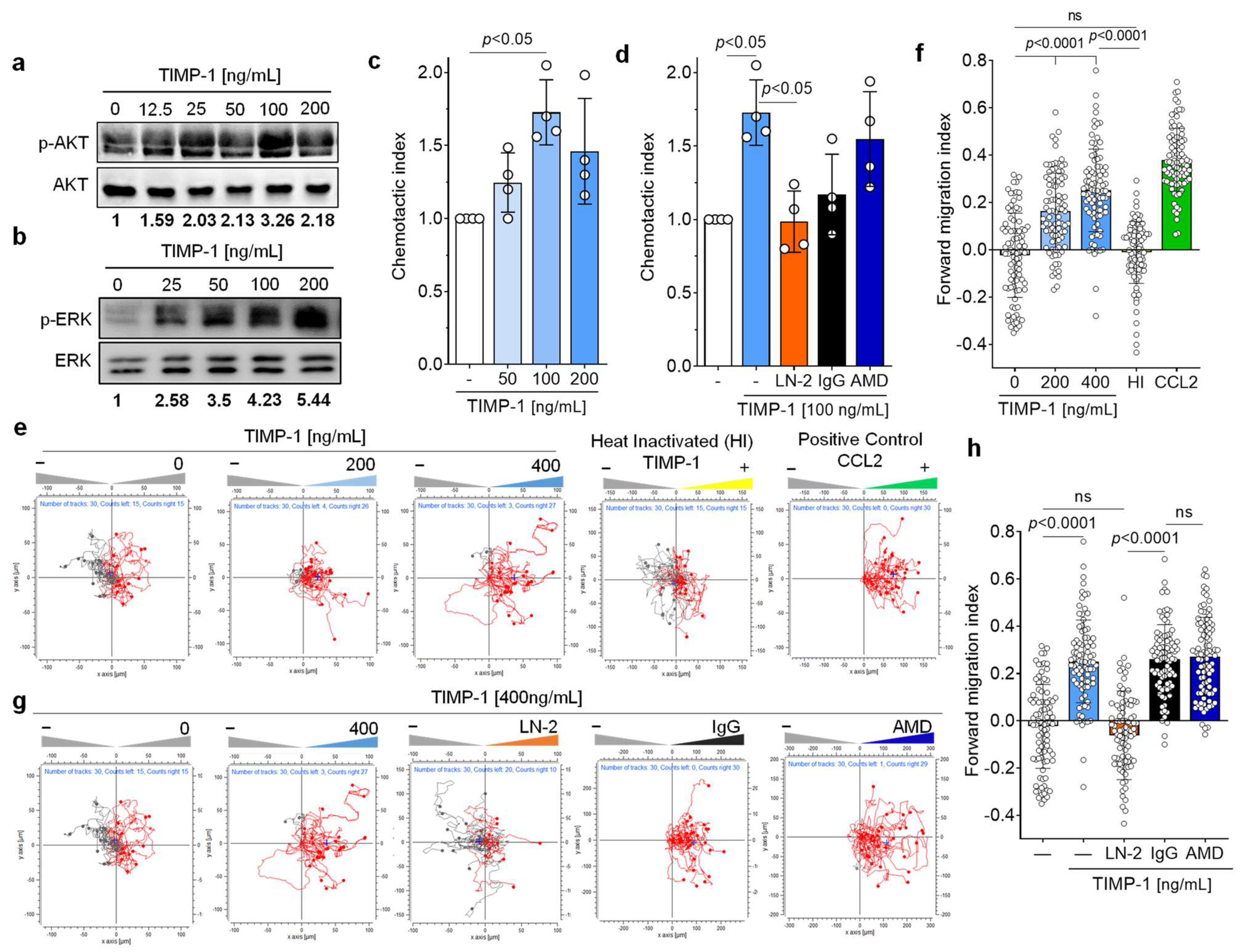 Cells 12 01899 g005 Cells 12 01899 g005