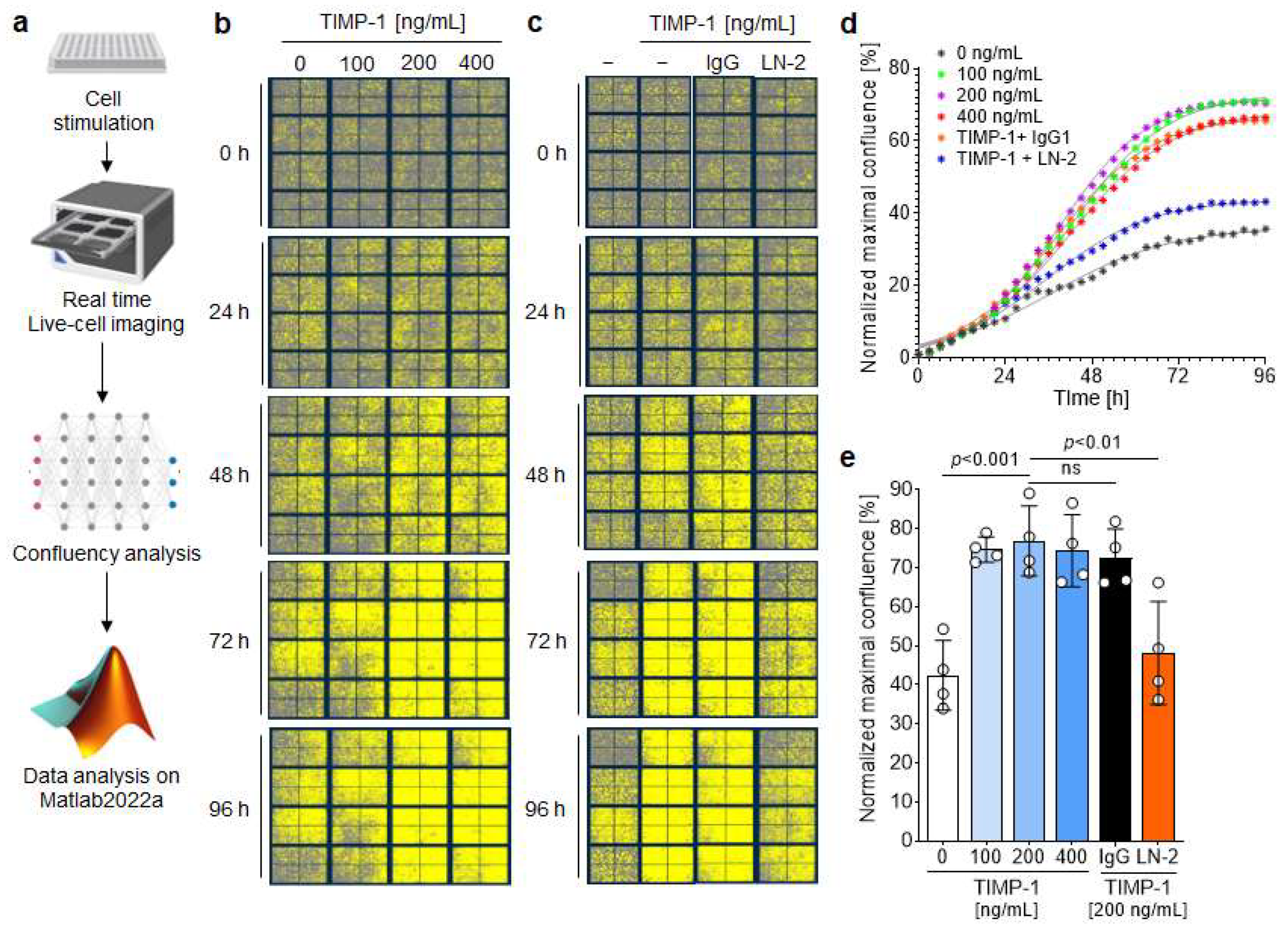 Cells 12 01899 g007 Cells 12 01899 g007