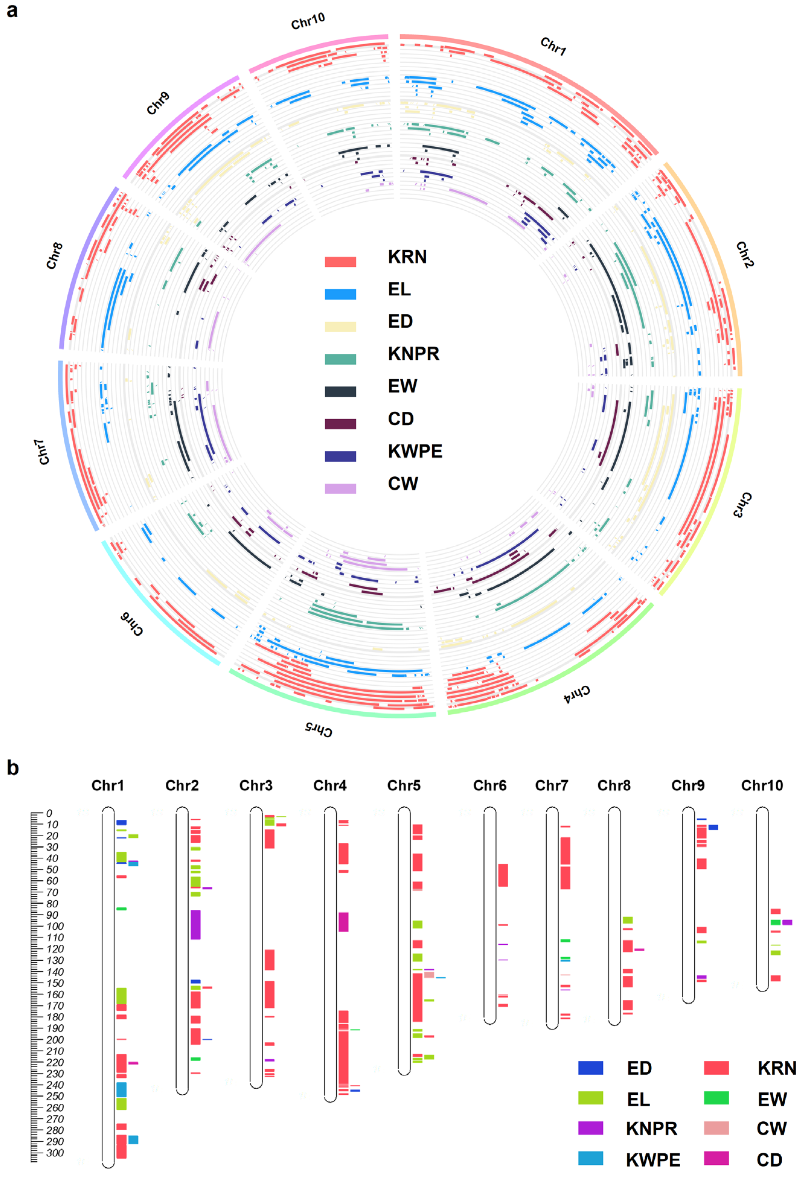 The Genetic Structures and Molecular Mechanisms Underlying