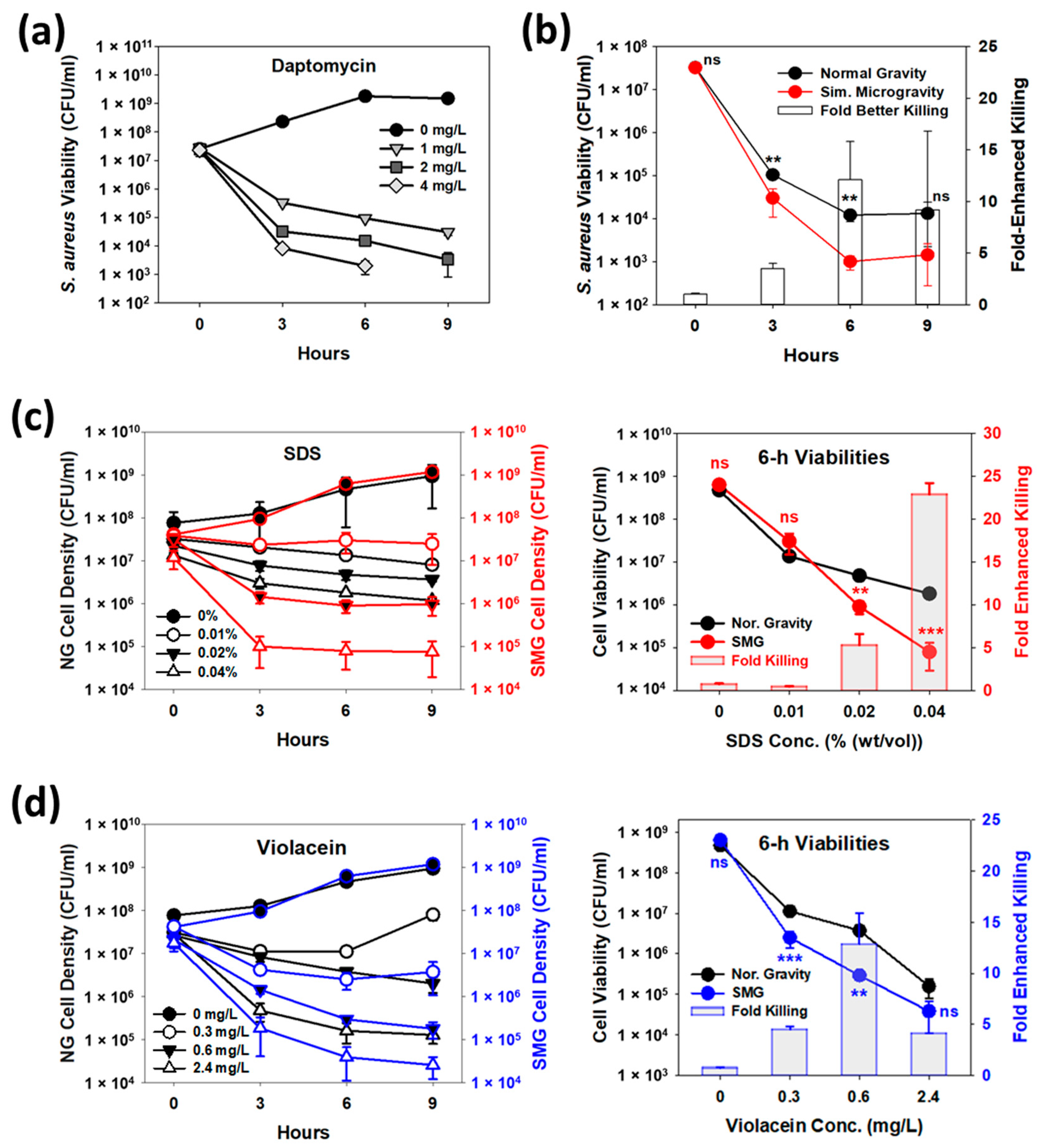Cells 12 01907 g002 Cells 12 01907 g002