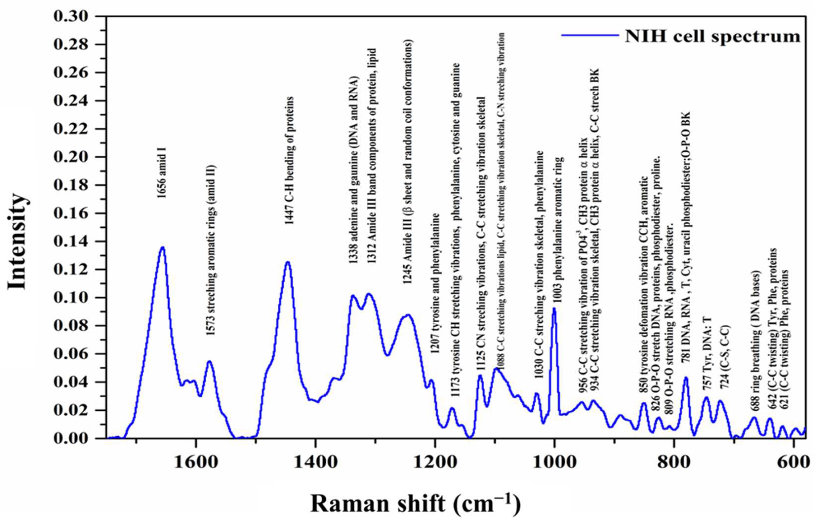Cells 12 01909 g002 Cells 12 01909 g002