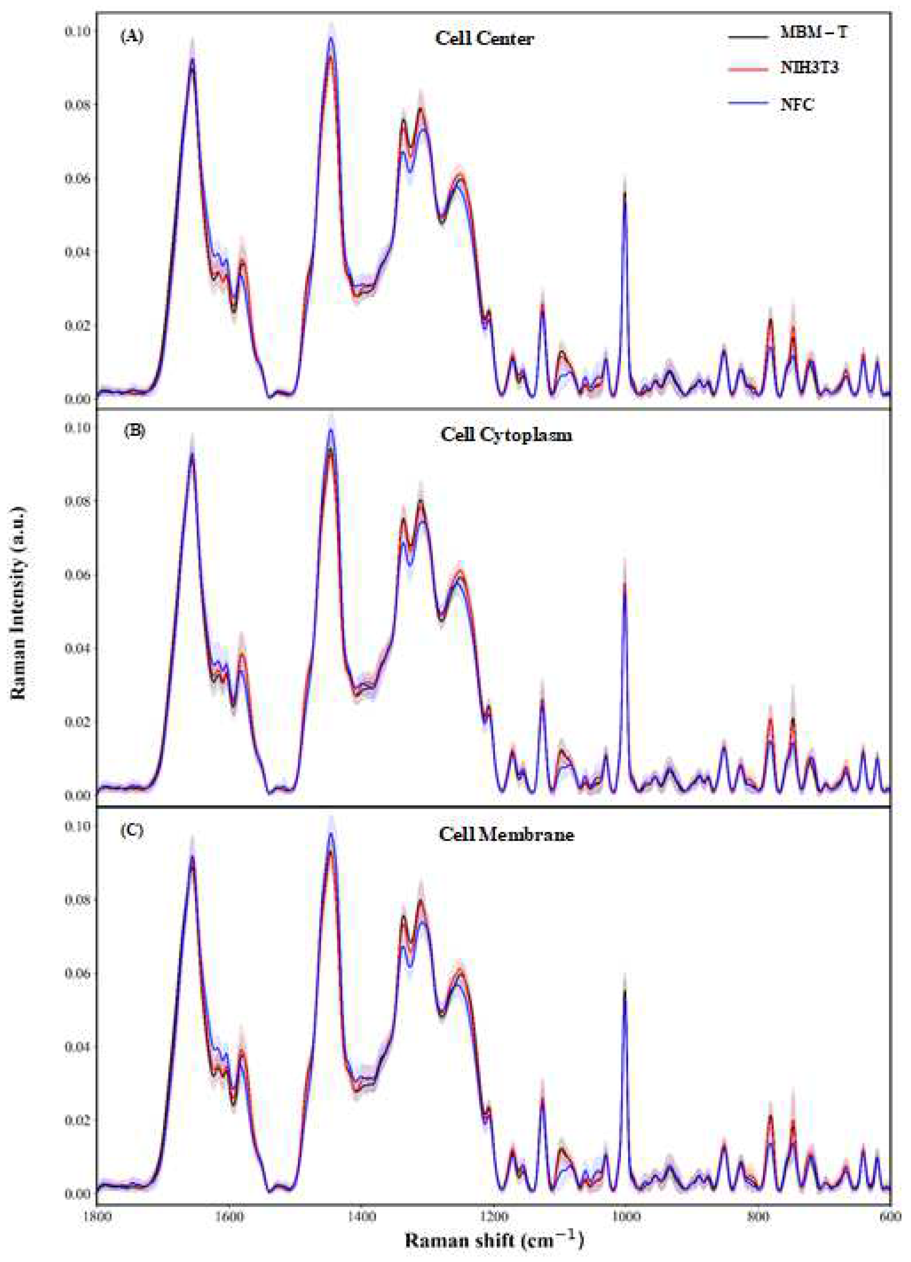 Cells 12 01909 g003 Cells 12 01909 g003