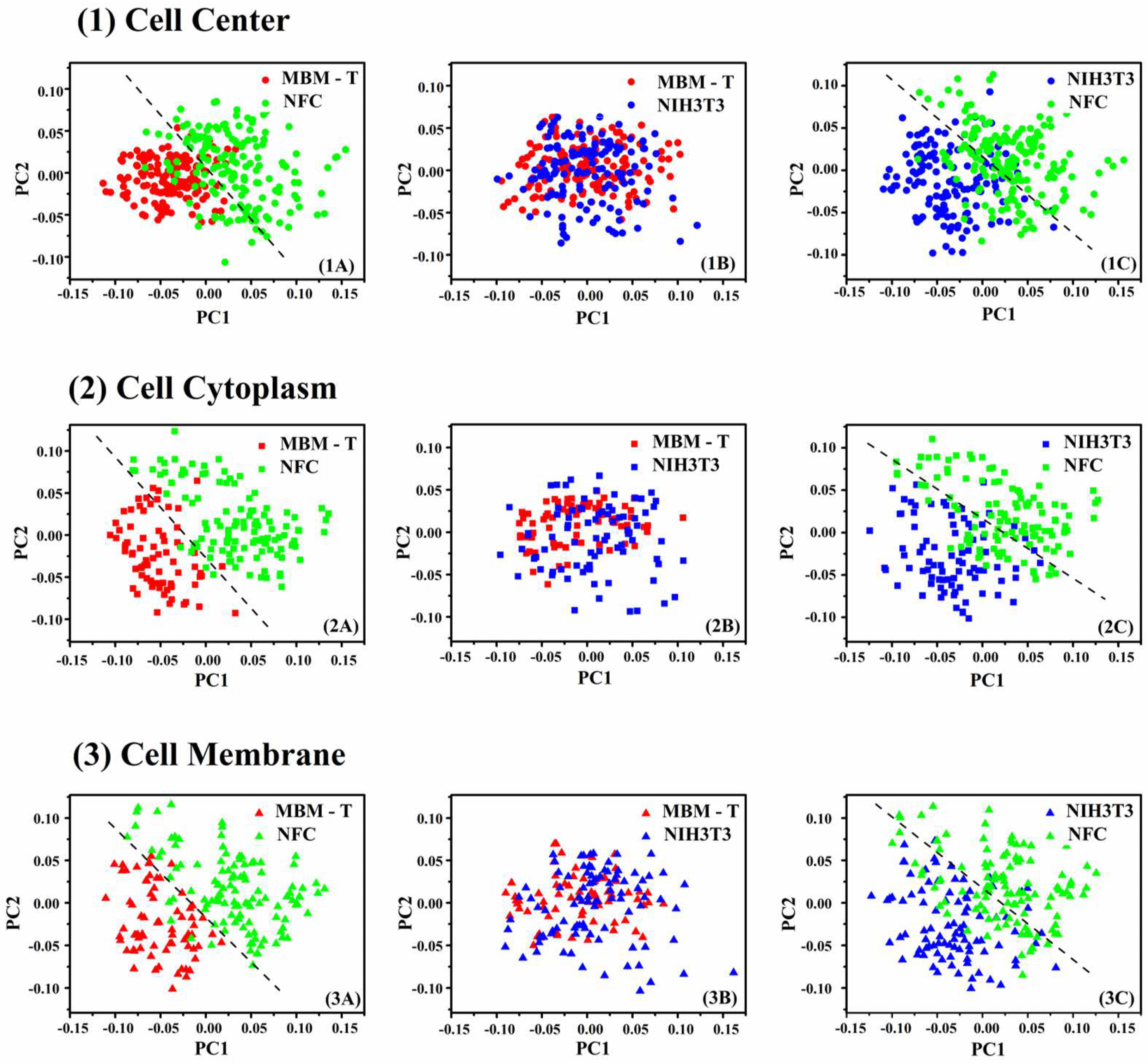 Cells 12 01909 g005 Cells 12 01909 g005