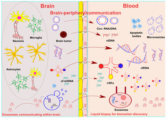 ୨୧ Liquid Biopsy in Neurological Diseases