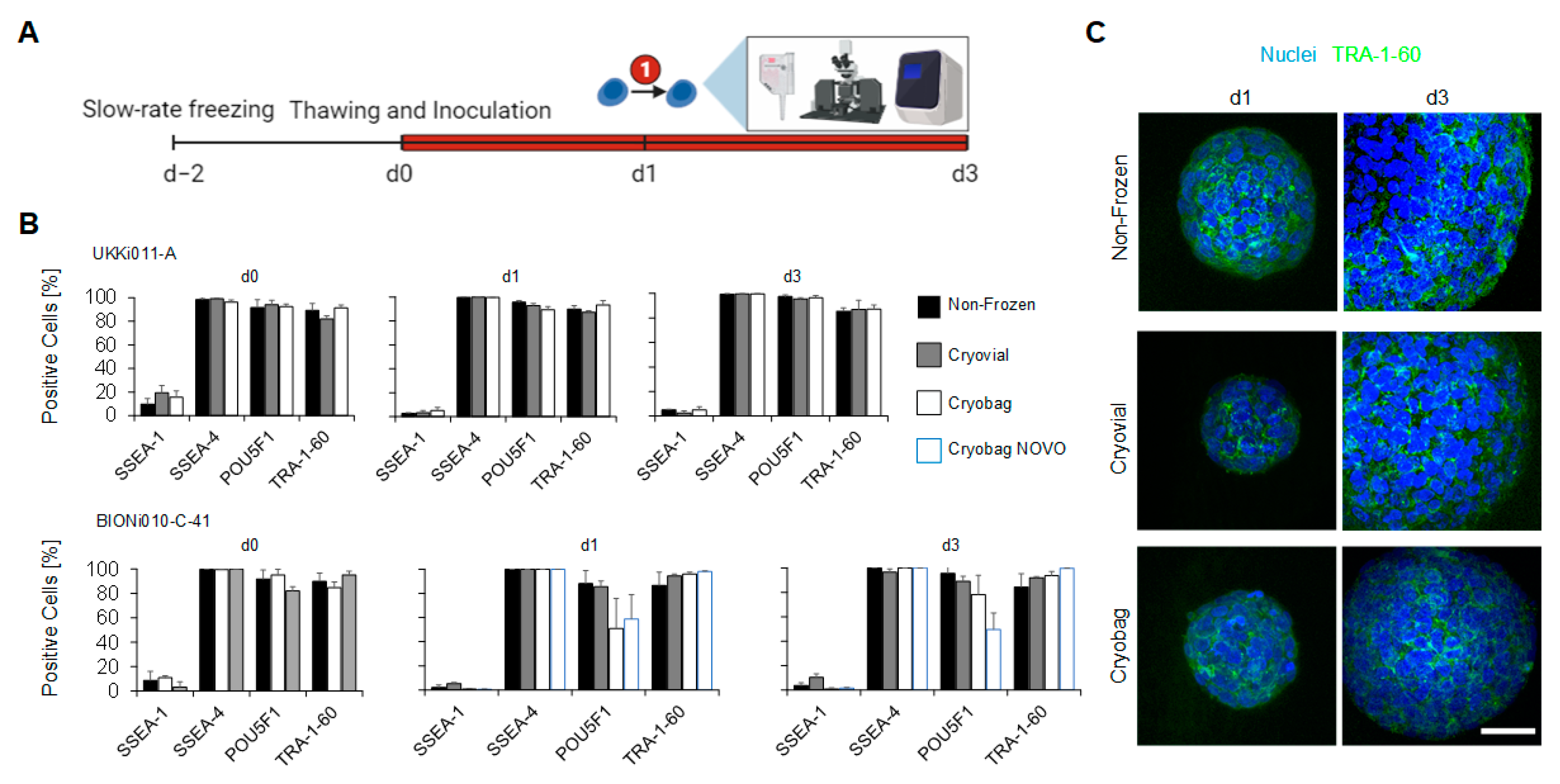 Cells 12 01914 g003 Cells 12 01914 g003
