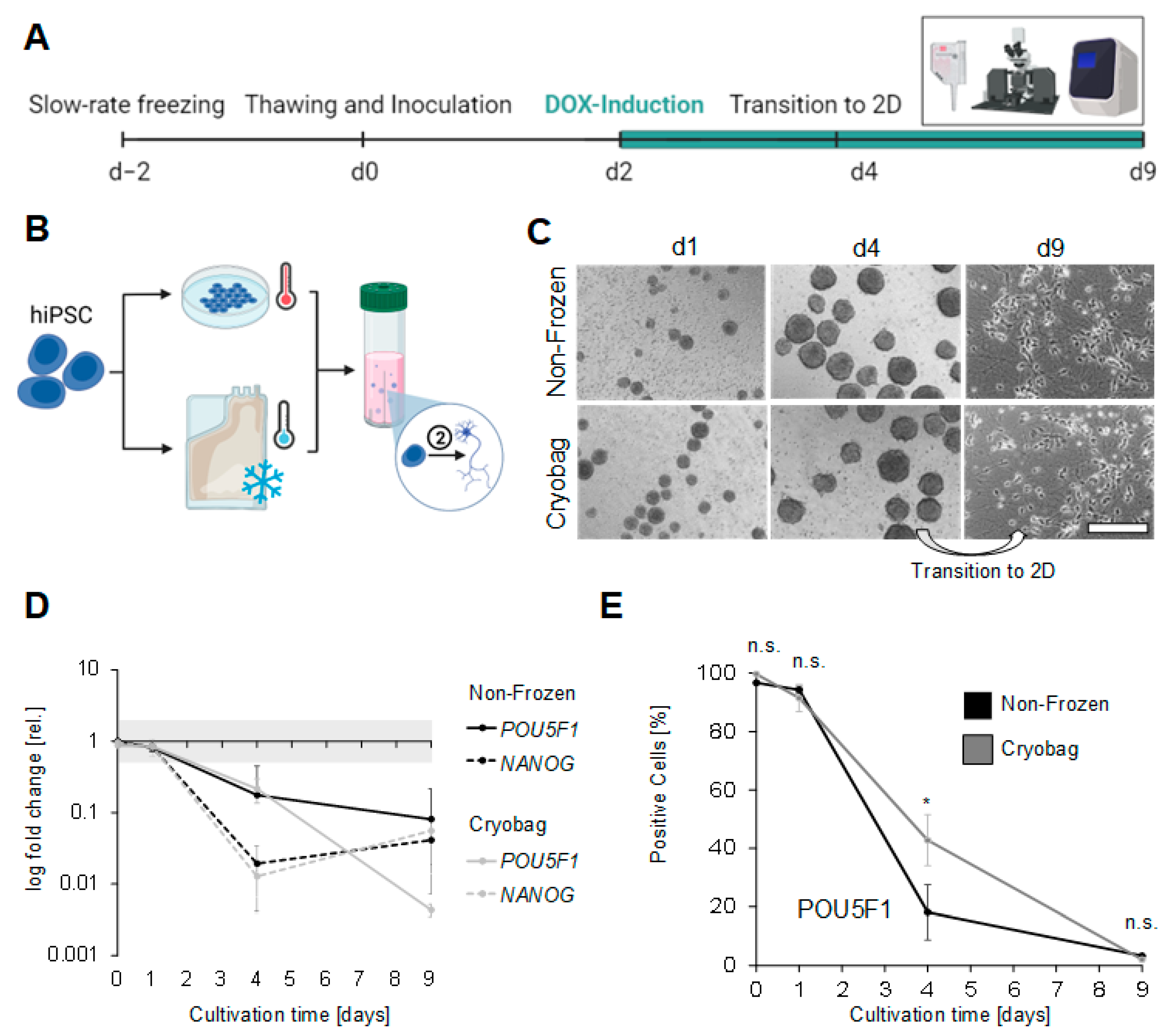 Cells 12 01914 g005 Cells 12 01914 g005