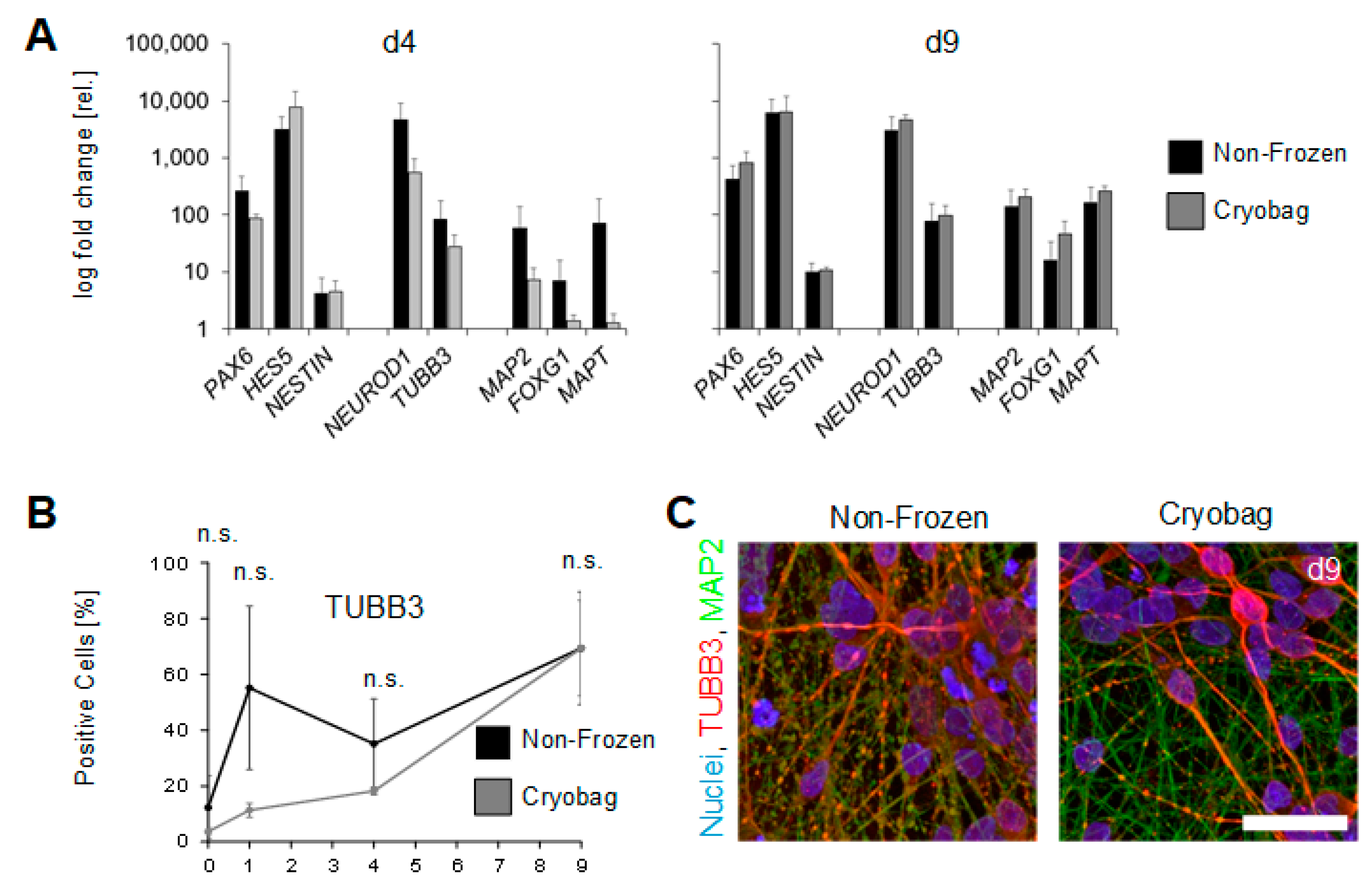Cells 12 01914 g006 Cells 12 01914 g006