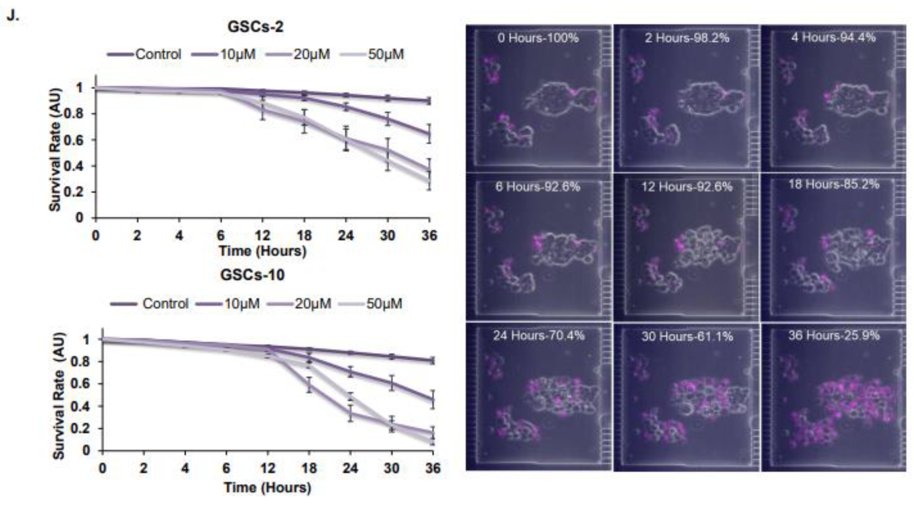 Cells 12 01921 g001b Cells 12 01921 g001b