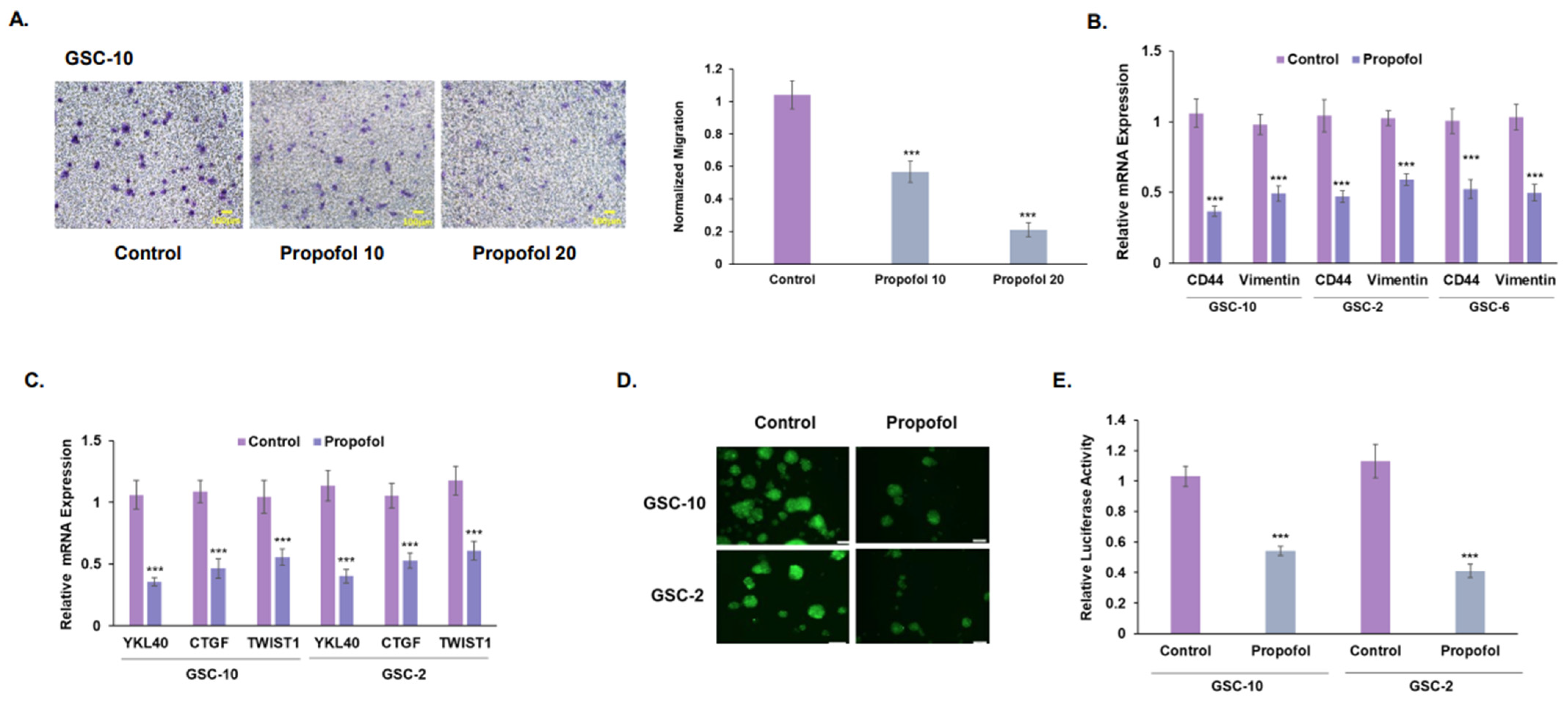 Cells 12 01921 g002 Cells 12 01921 g002