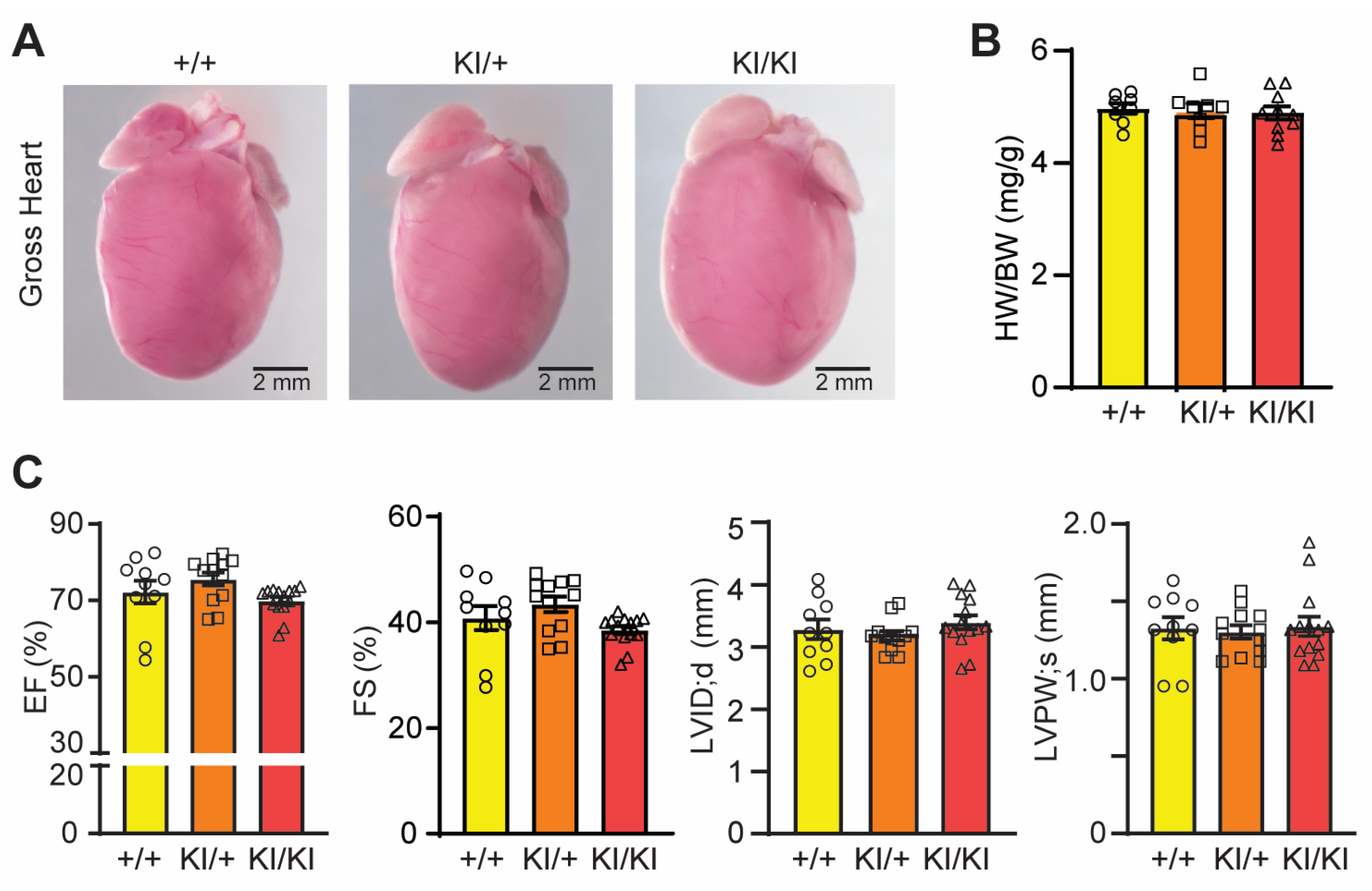Cells 12 01923 g005 Cells 12 01923 g005