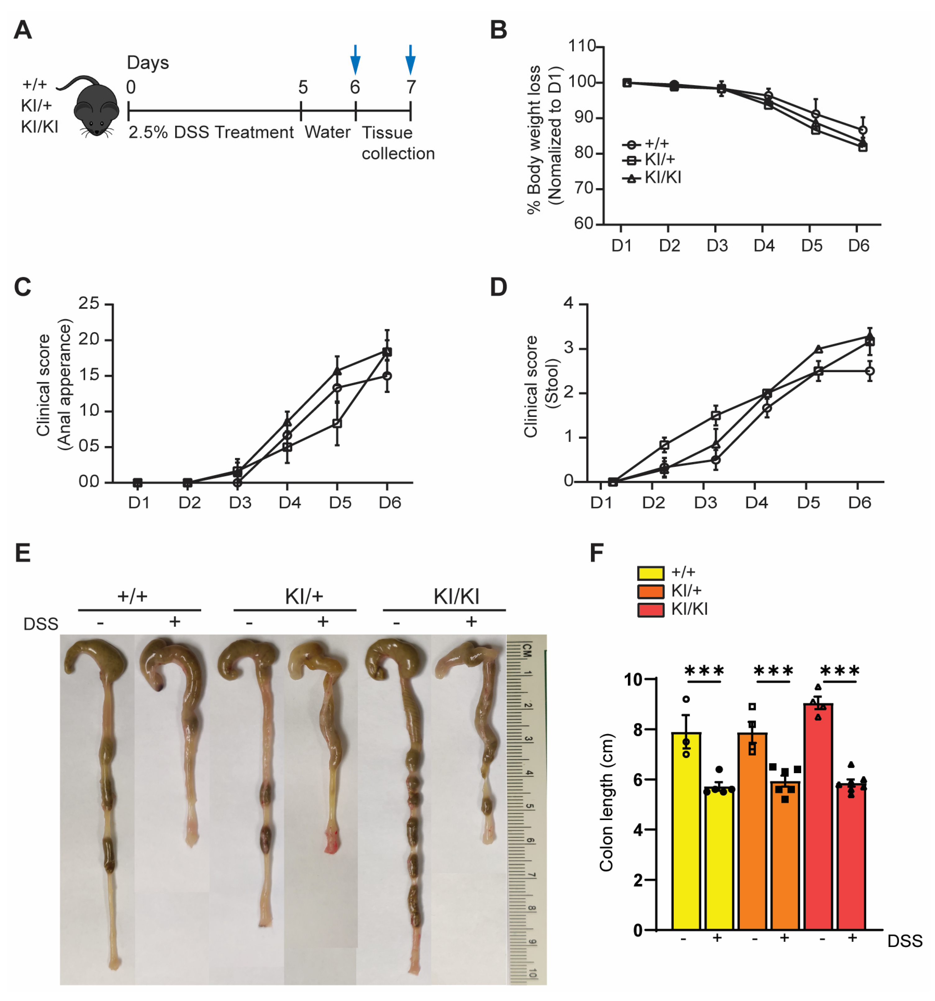 Cells 12 01923 g006 Cells 12 01923 g006