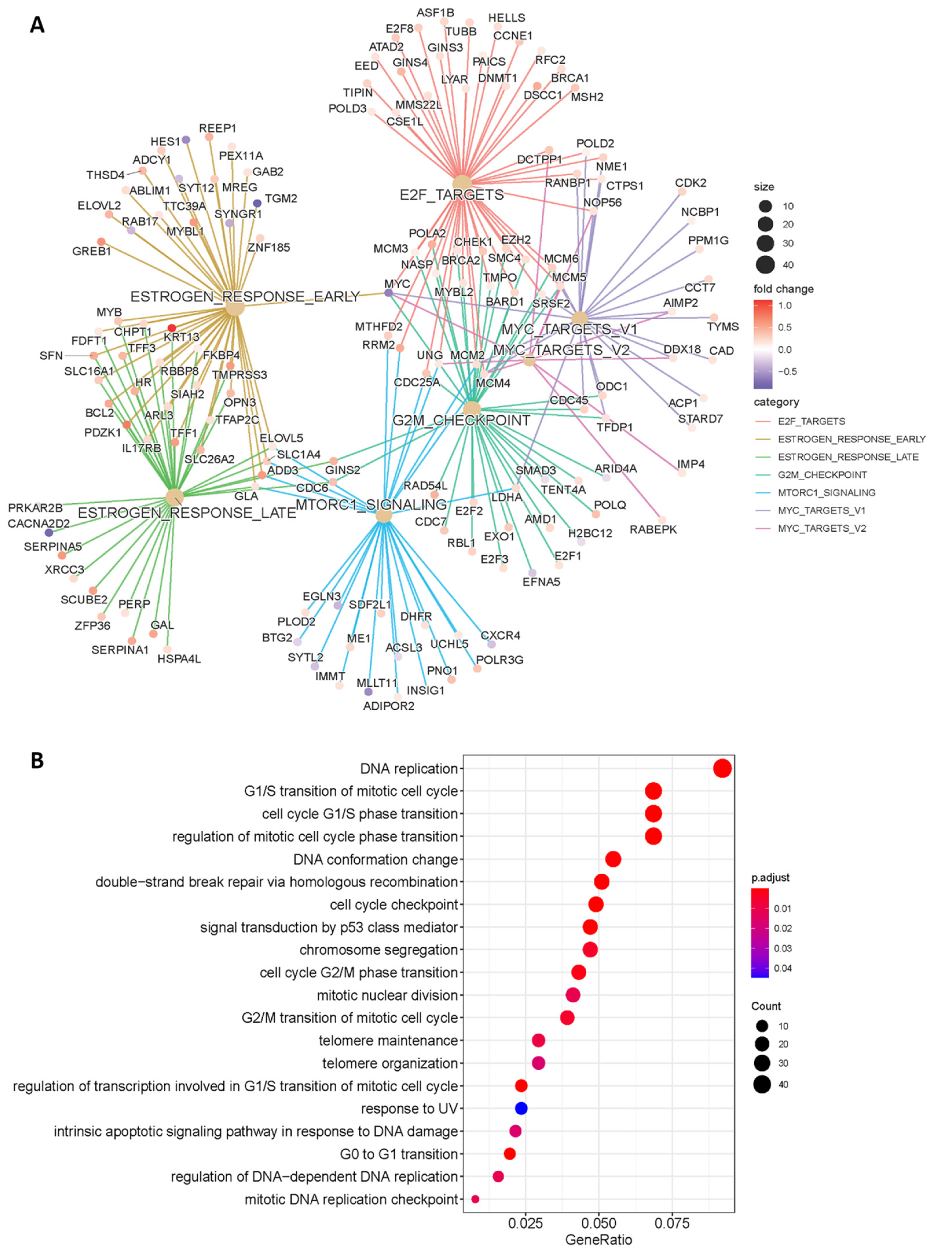Cells 12 01929 g001 Cells 12 01929 g001