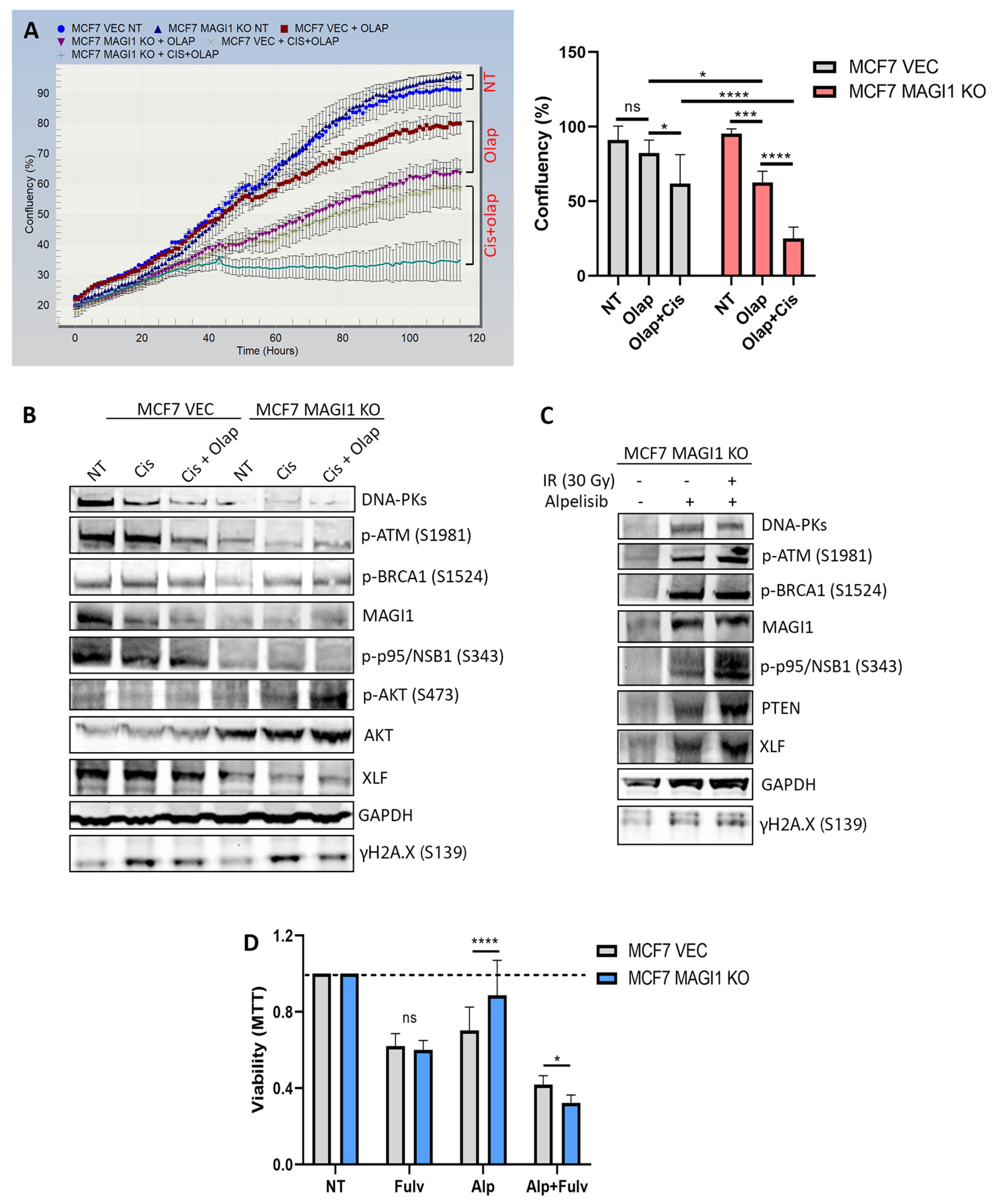 Cells 12 01929 g004 Cells 12 01929 g004