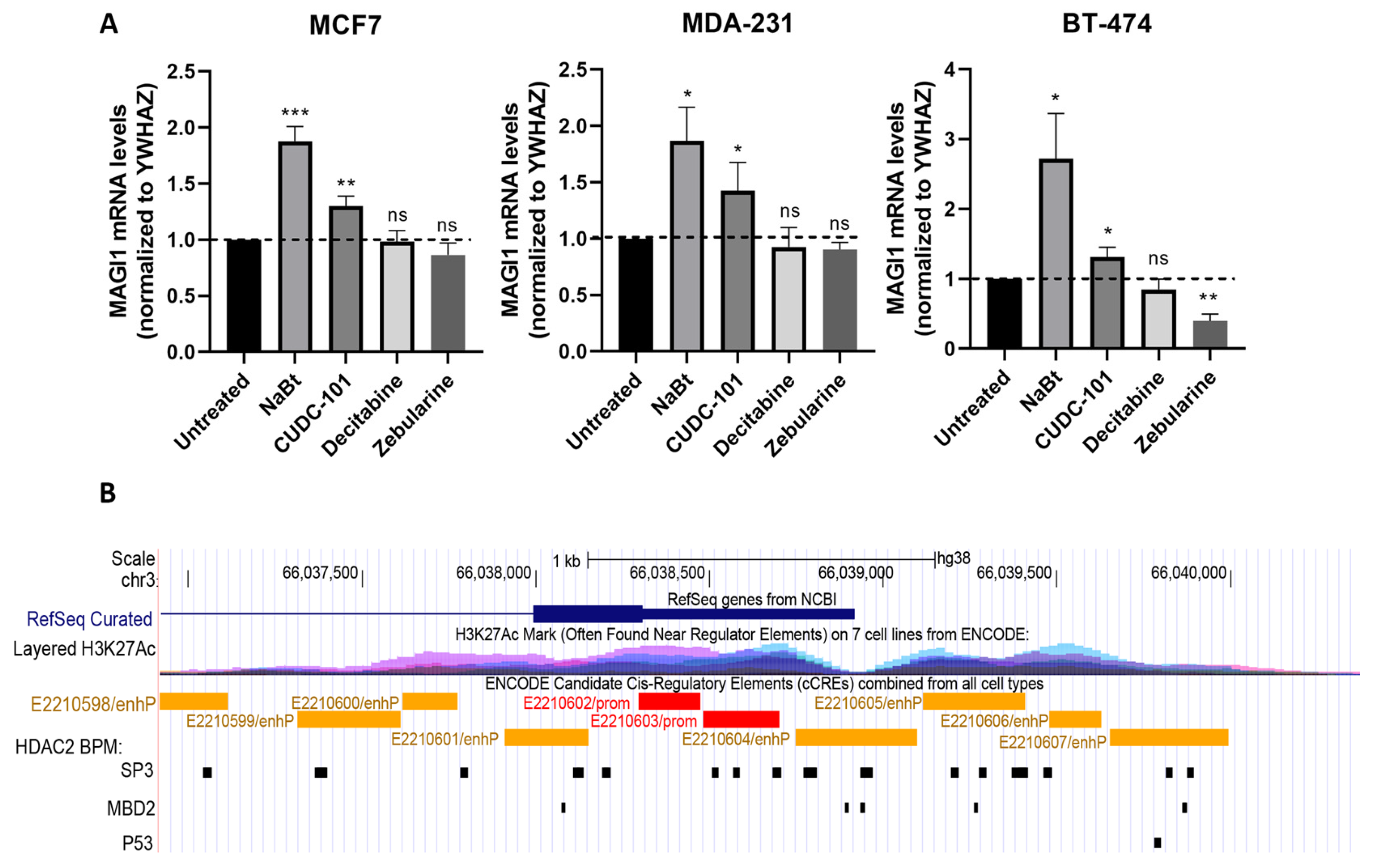 Cells 12 01929 g005 Cells 12 01929 g005