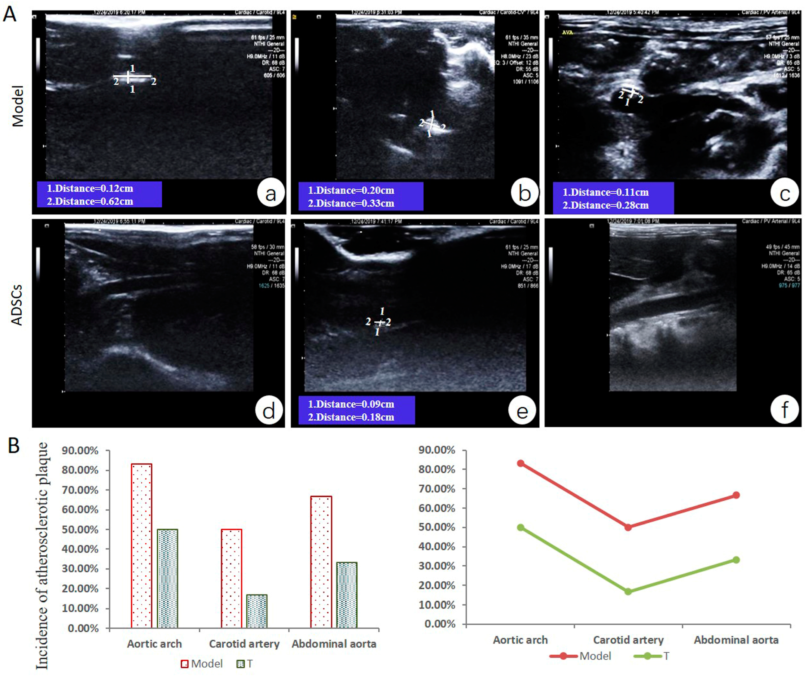 Cells 12 01936 g003 Cells 12 01936 g003
