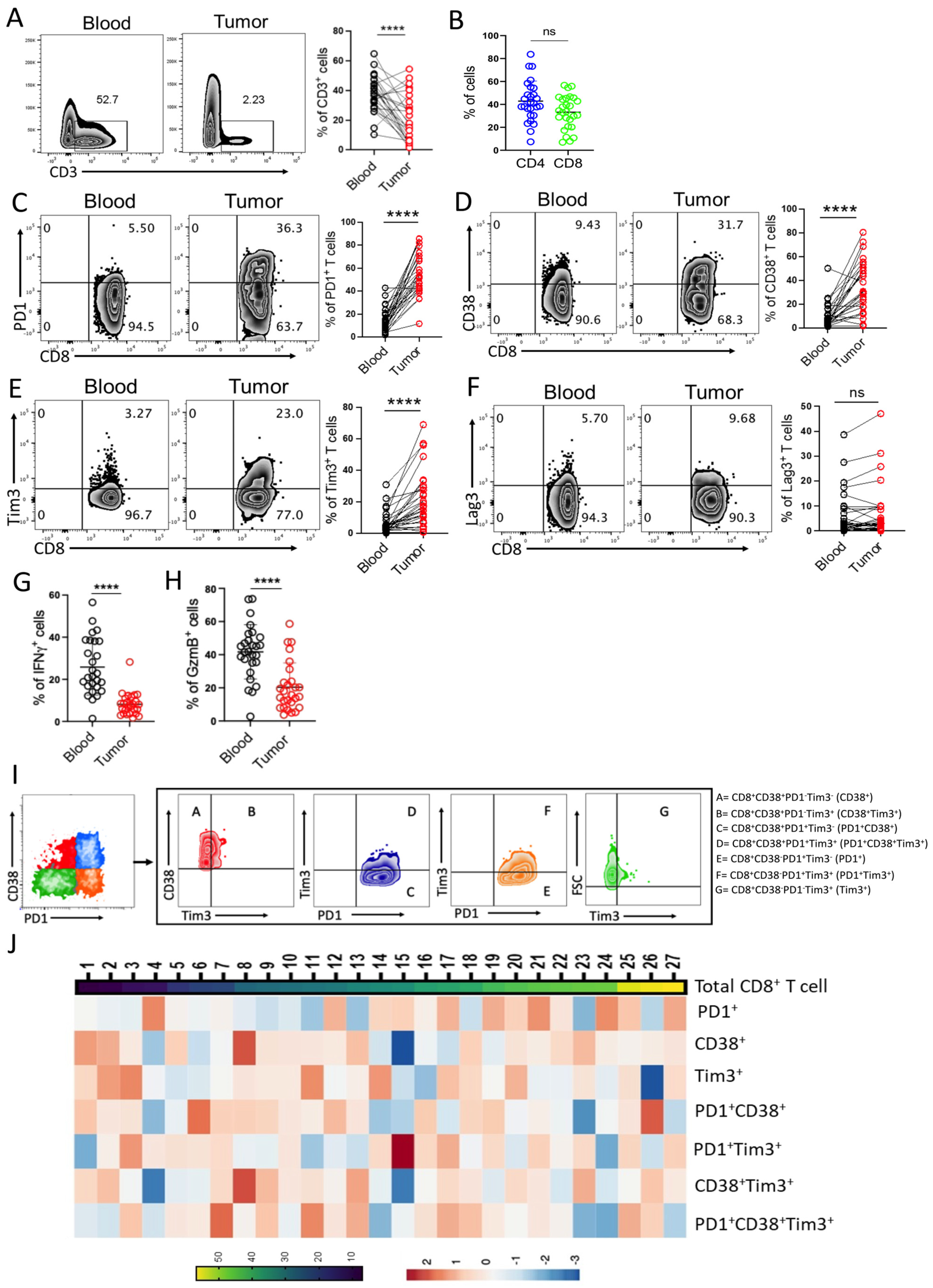 Cells 12 01939 g001 Cells 12 01939 g001