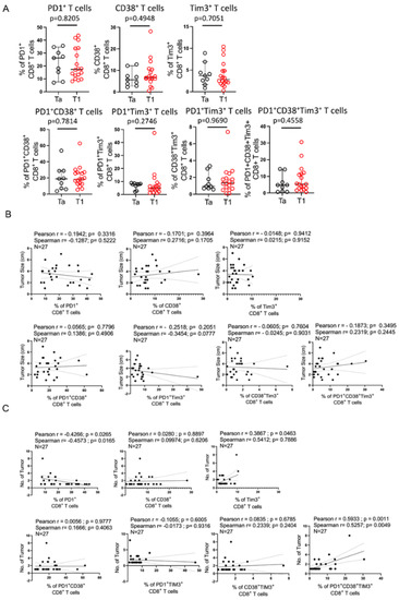 Intratumoral PD1+CD38+Tim3+ CD8+ T Cells in Pre-BCG Tumor Tissues Are ...