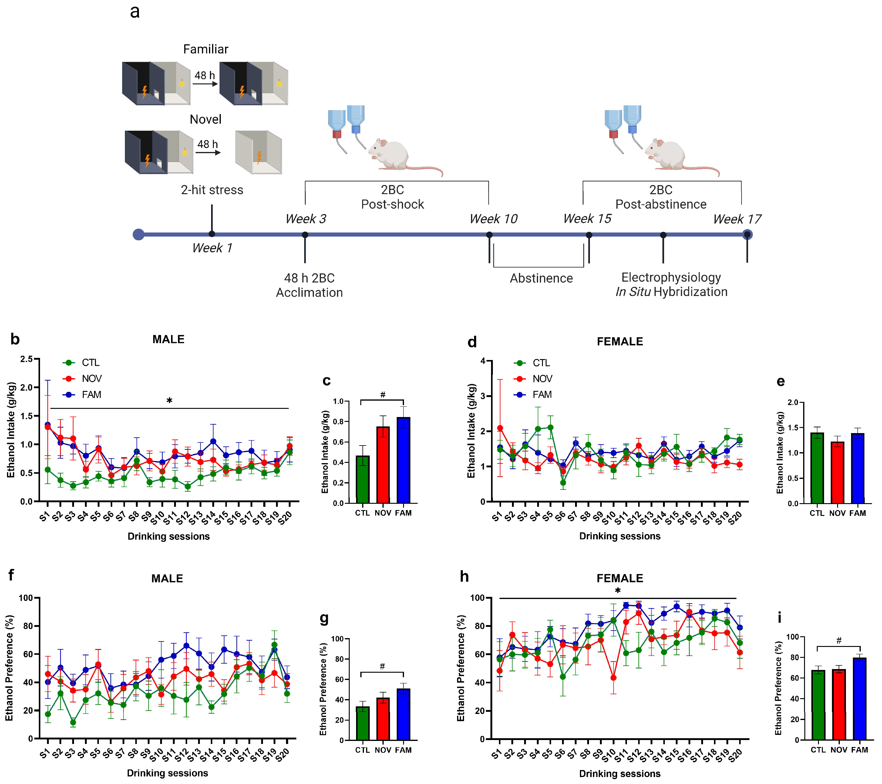 Cells 12 01943 g001 Cells 12 01943 g001