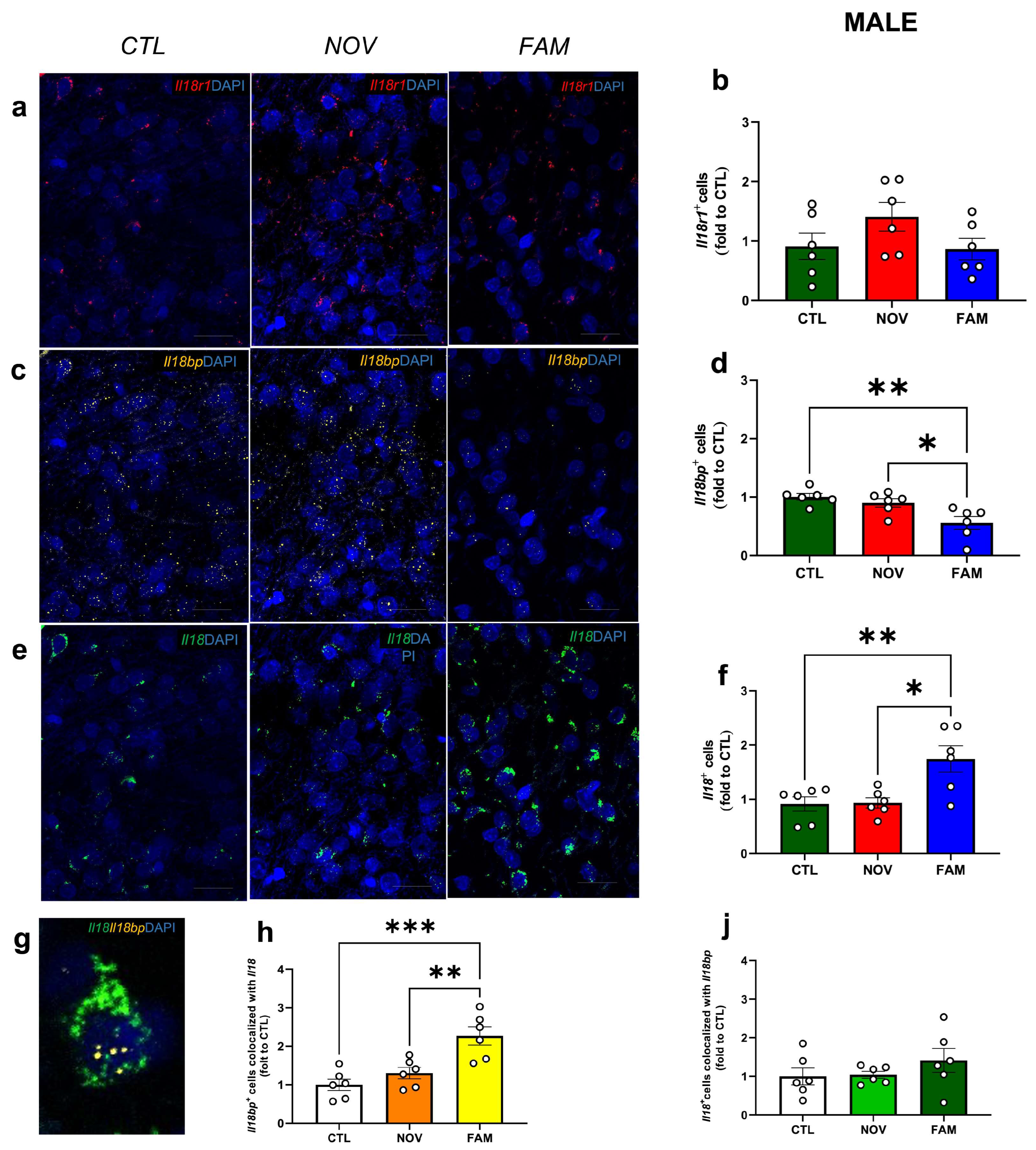 Cells 12 01943 g002 Cells 12 01943 g002