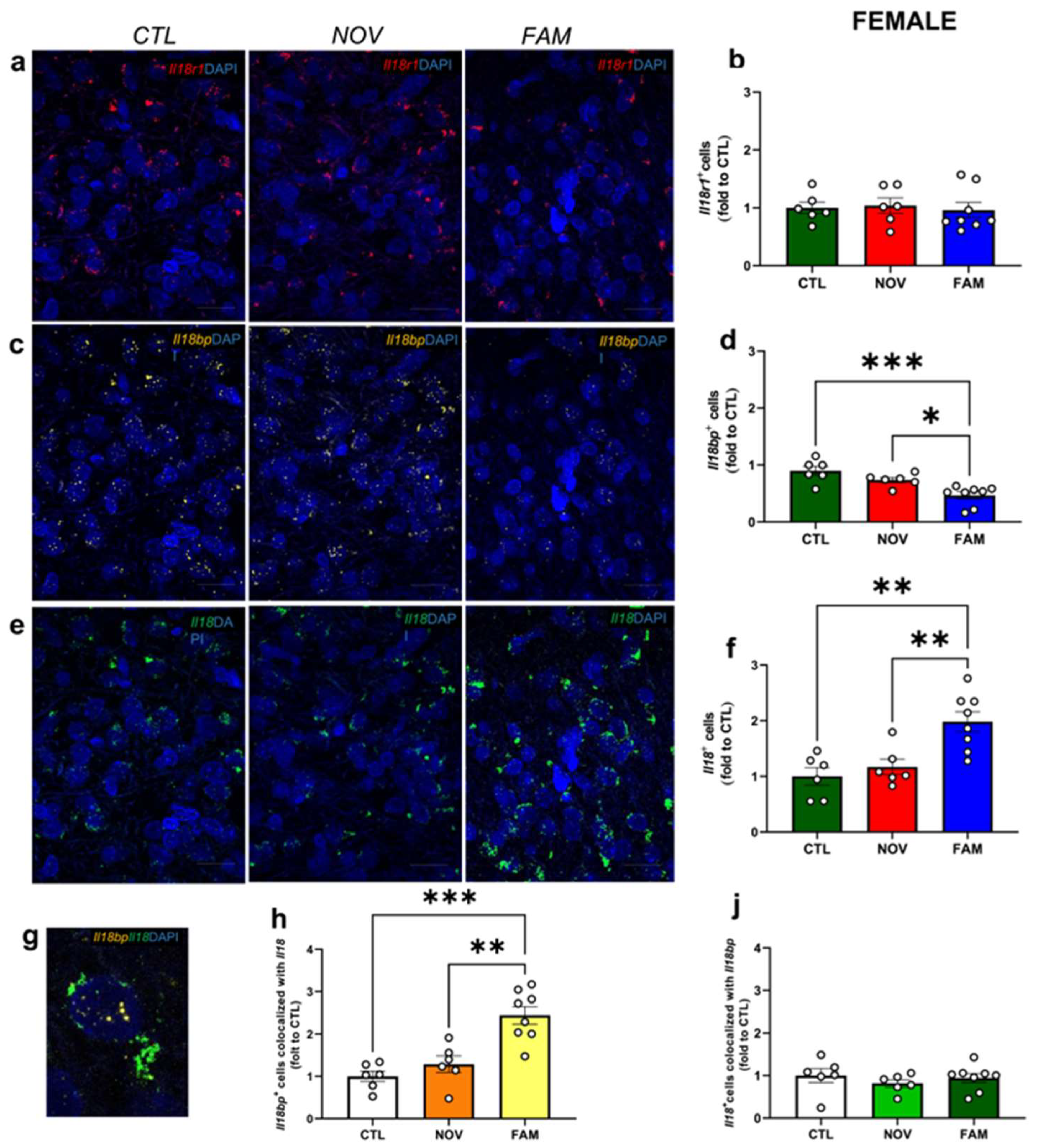 Cells 12 01943 g003 Cells 12 01943 g003