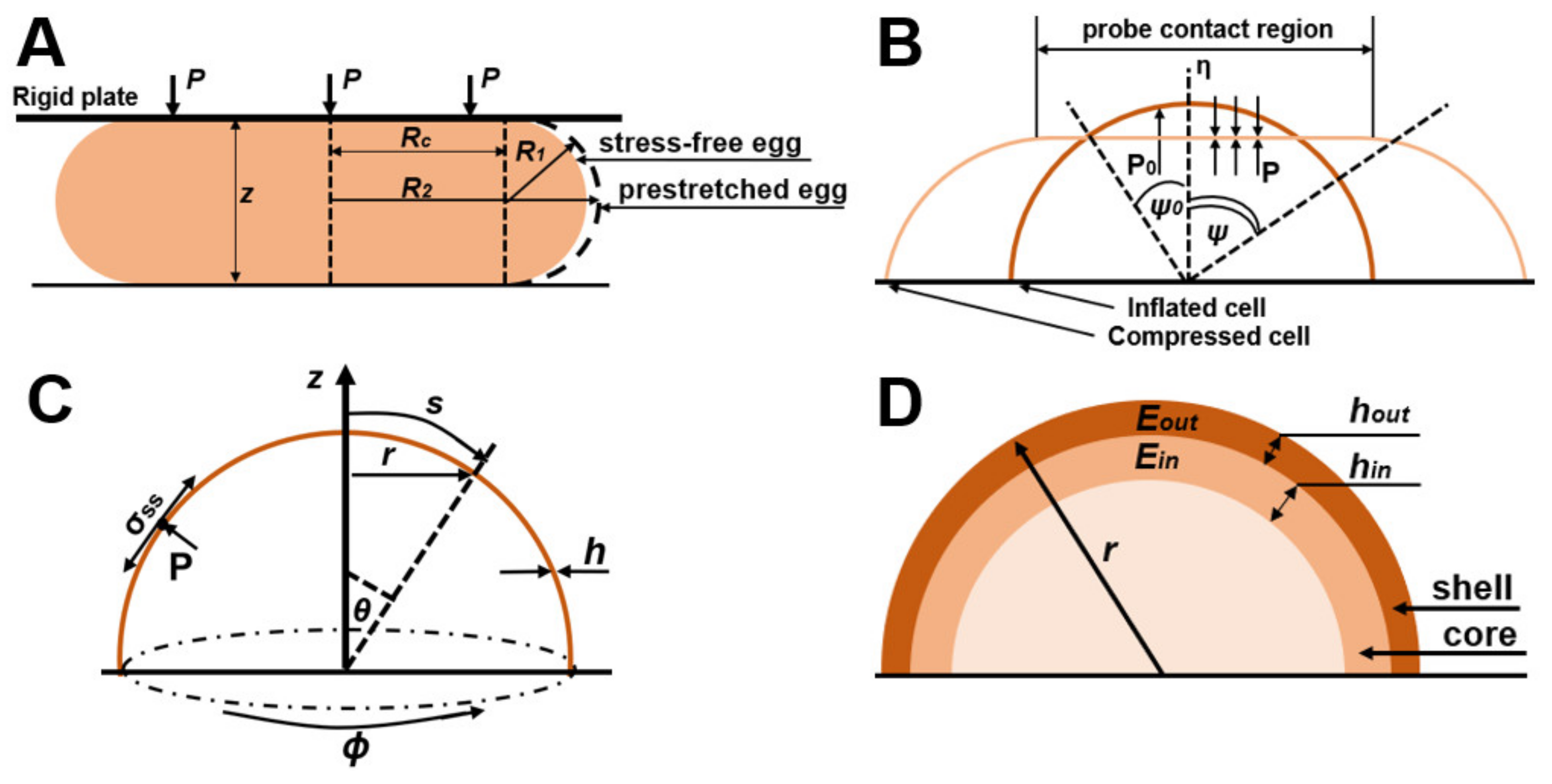 Cells 12 01946 g001 Cells 12 01946 g001