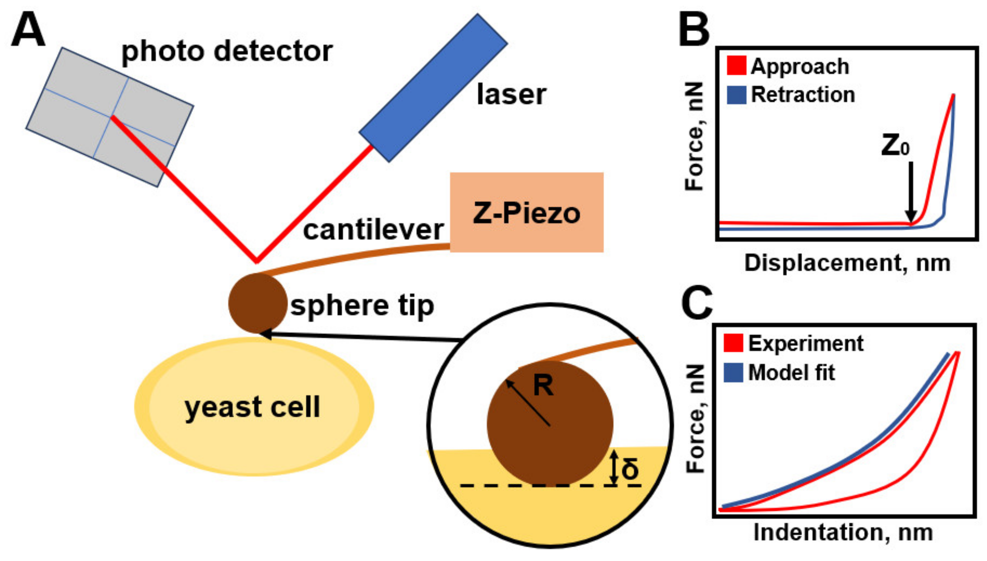 Cells 12 01946 g002 Cells 12 01946 g002