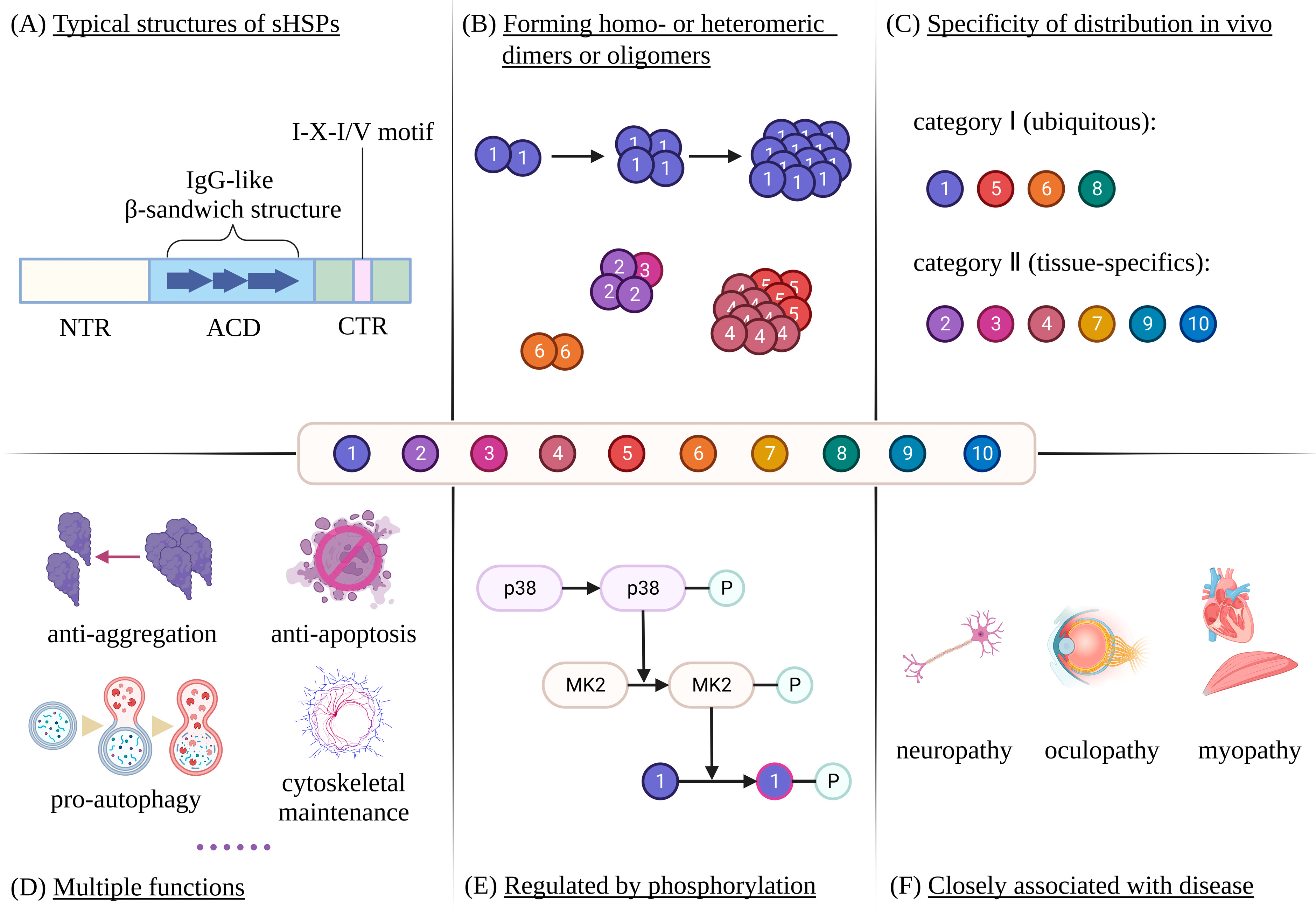 Structure of the stress-related LHCSR1 complex determined by