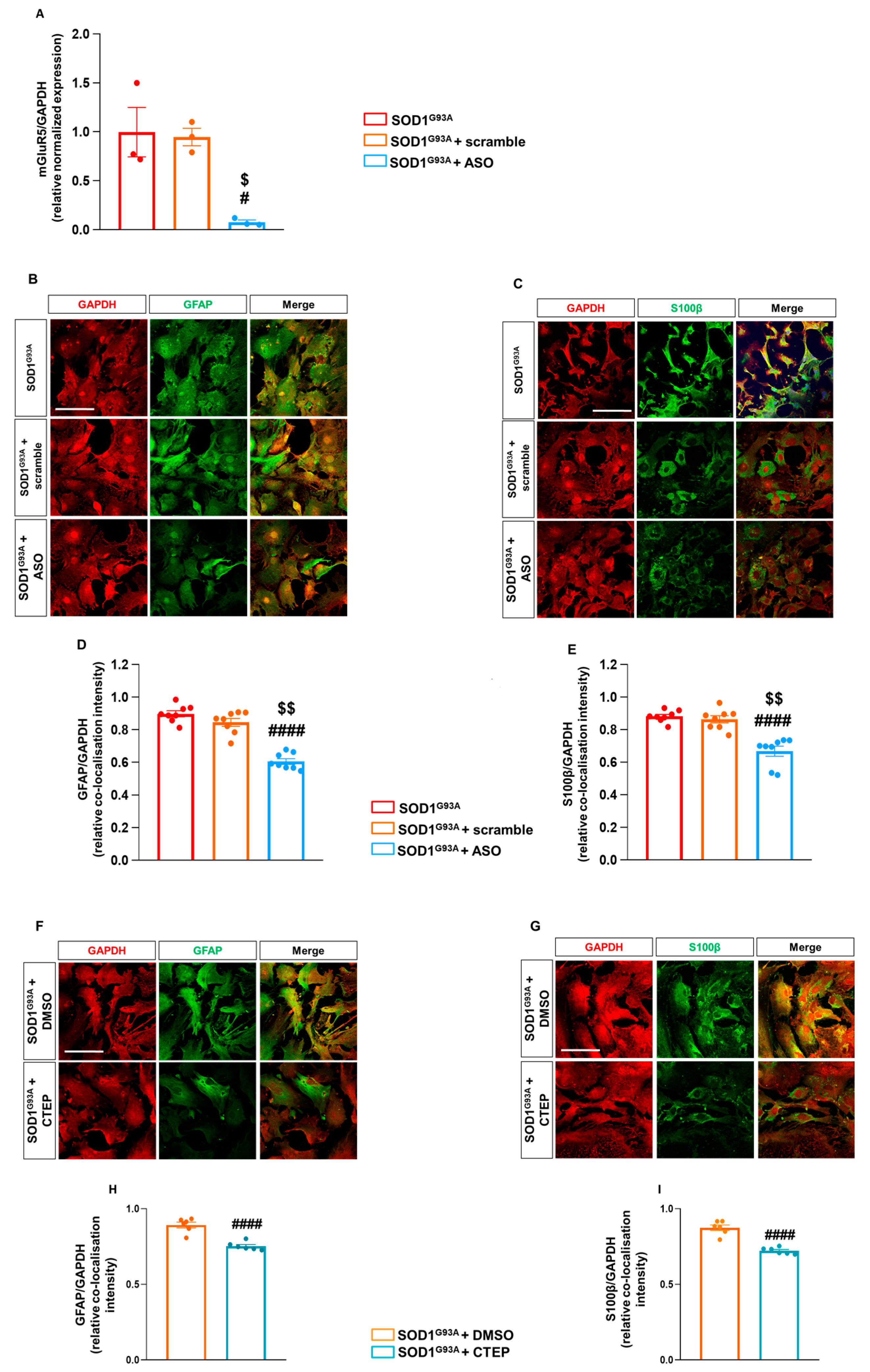 Cells 12 01952 g004 Cells 12 01952 g004