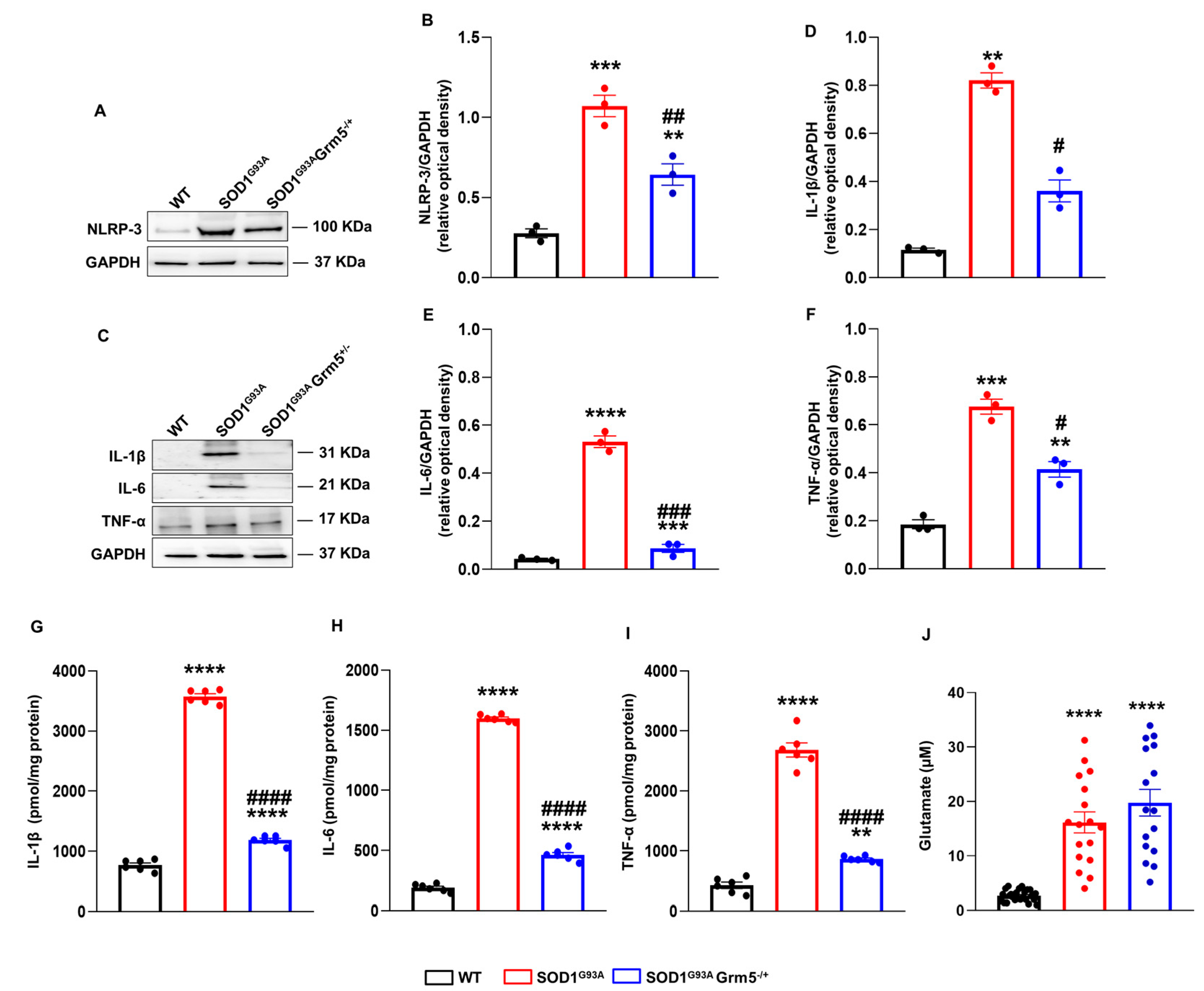 Cells 12 01952 g005 Cells 12 01952 g005